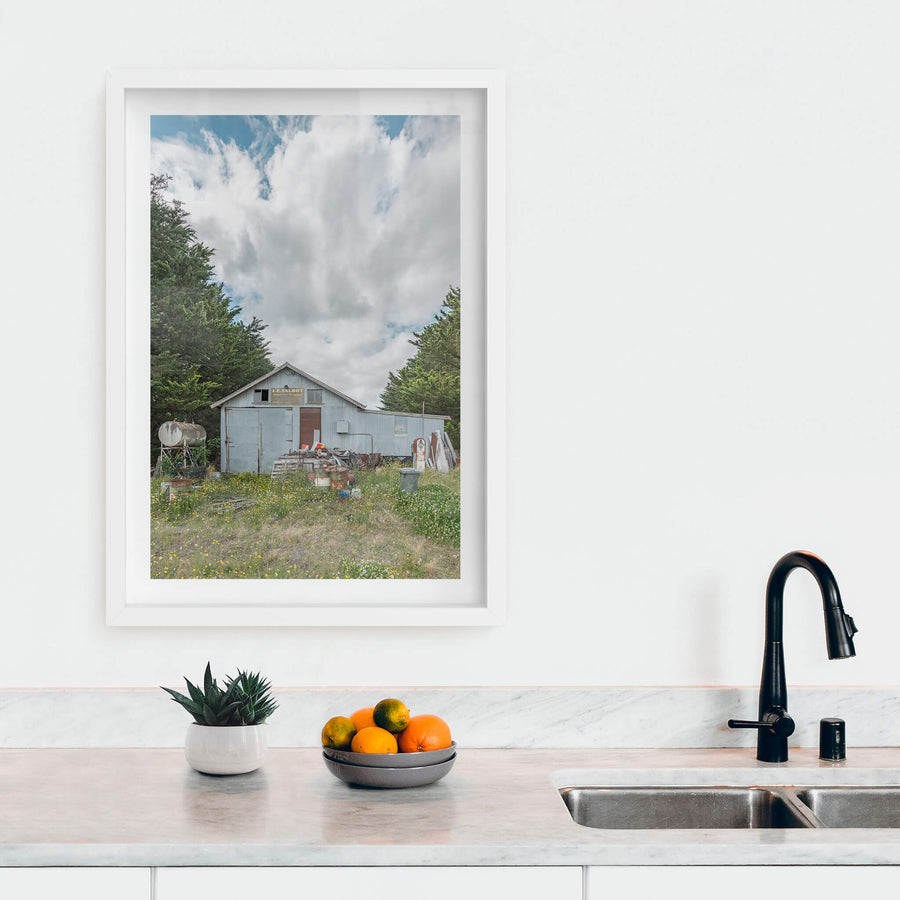 Talbots Place at A Place to Call Home, a pale blue corrugated iron shed sits in overgrown grass thick with yellow.