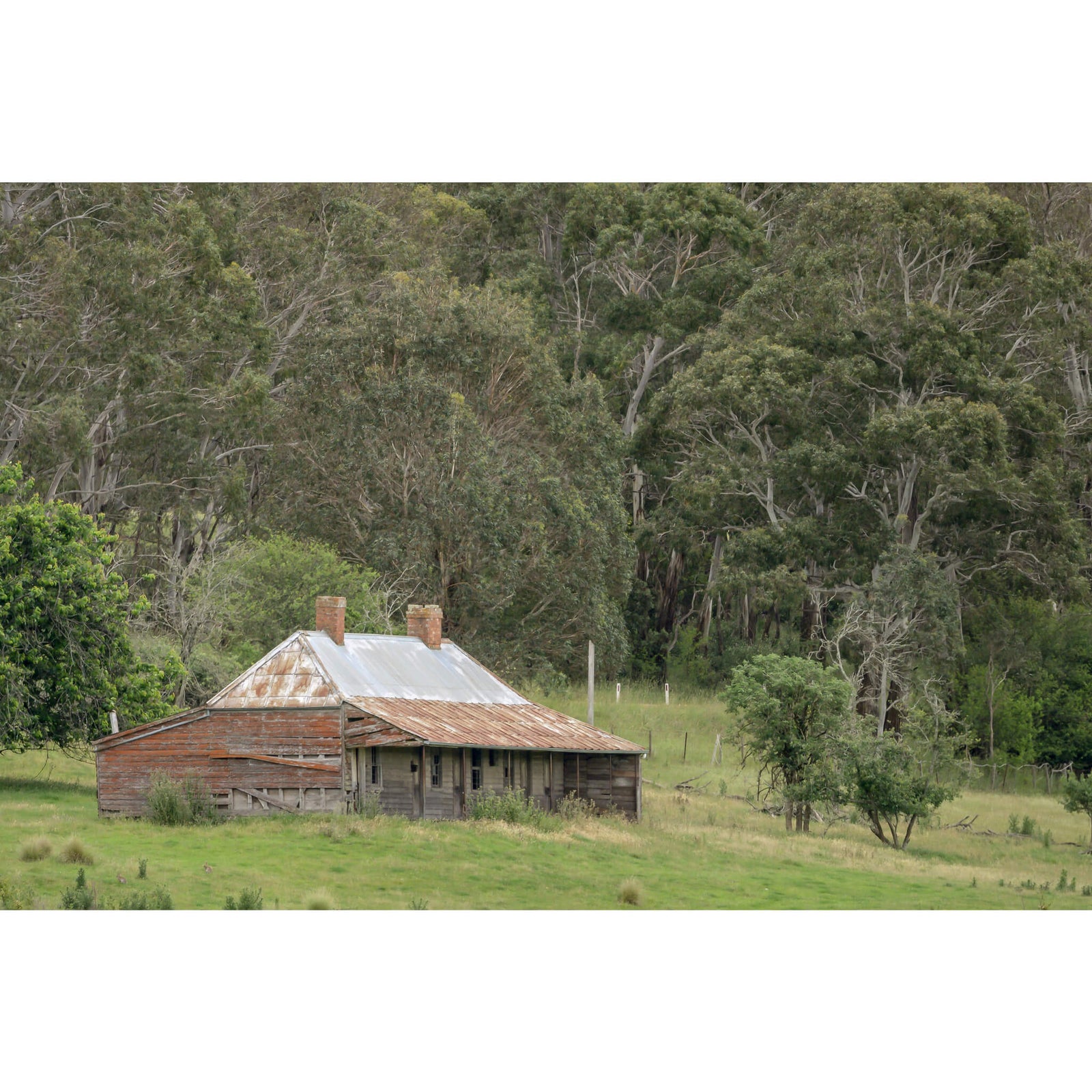 The Dragon Inn | A Place To Call Home Fine Art Print - Lost Collective Shop