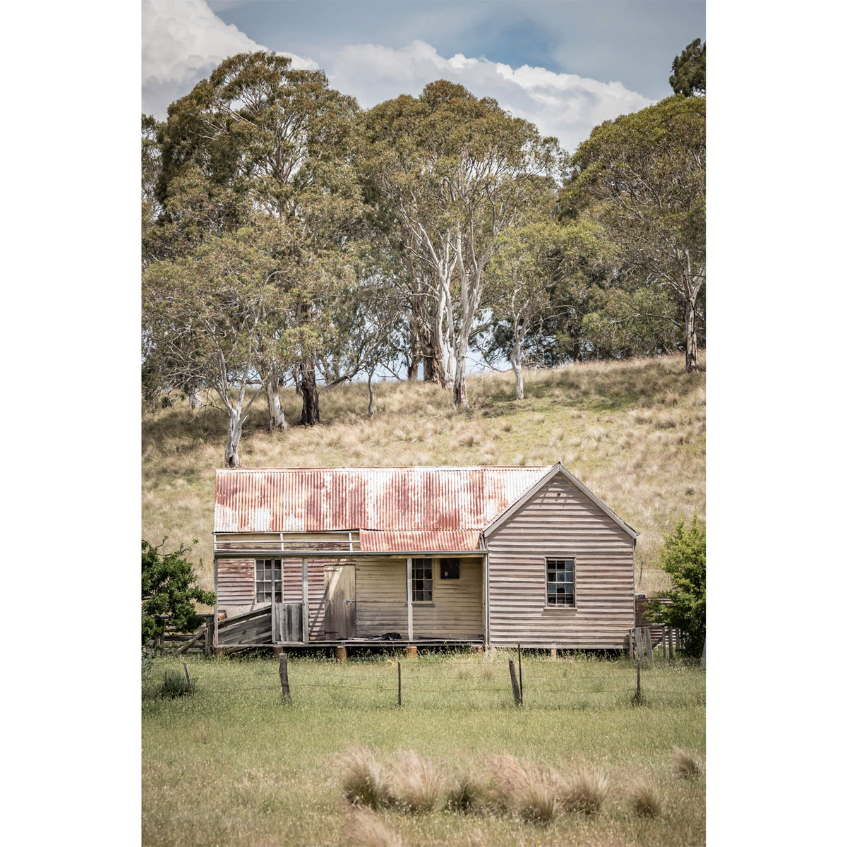 Timber Weatherboards | A Place to Call Home Fine Art Print - Lost Collective Shop