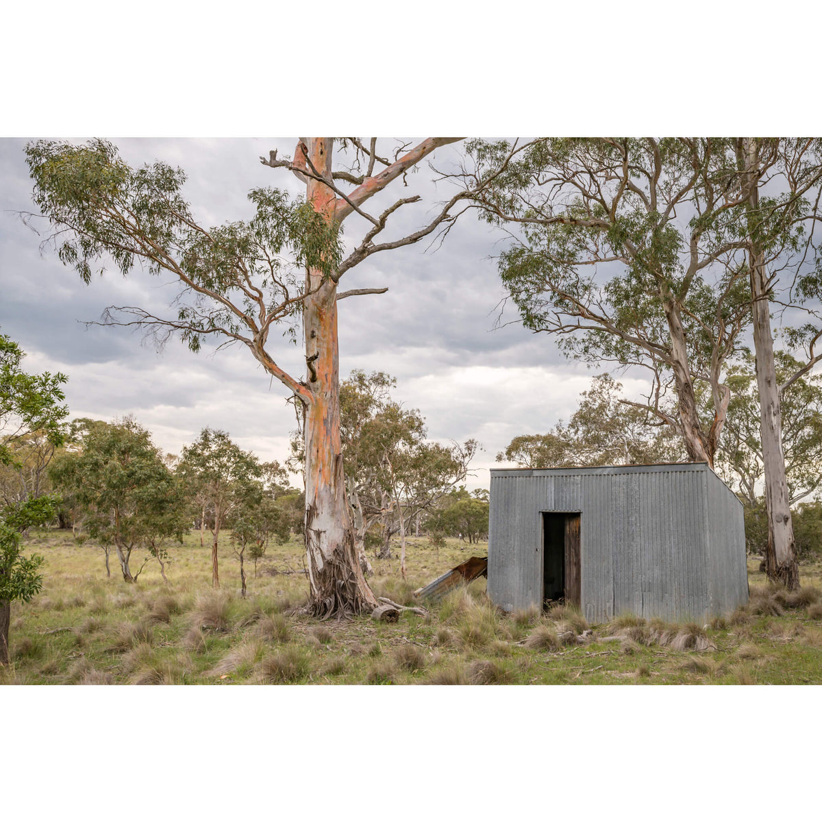 Tin Drovers Hut | A Place to Call Home