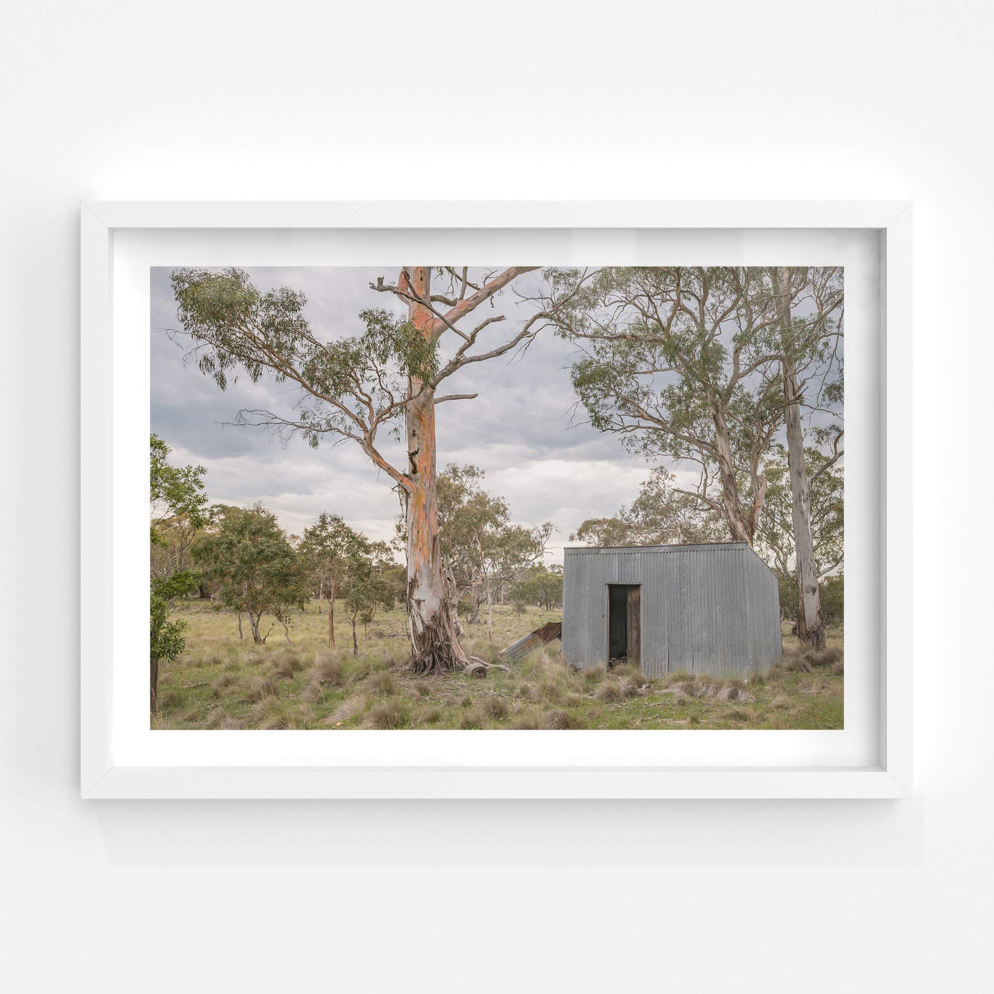 Tin Drovers Hut | A Place to Call Home