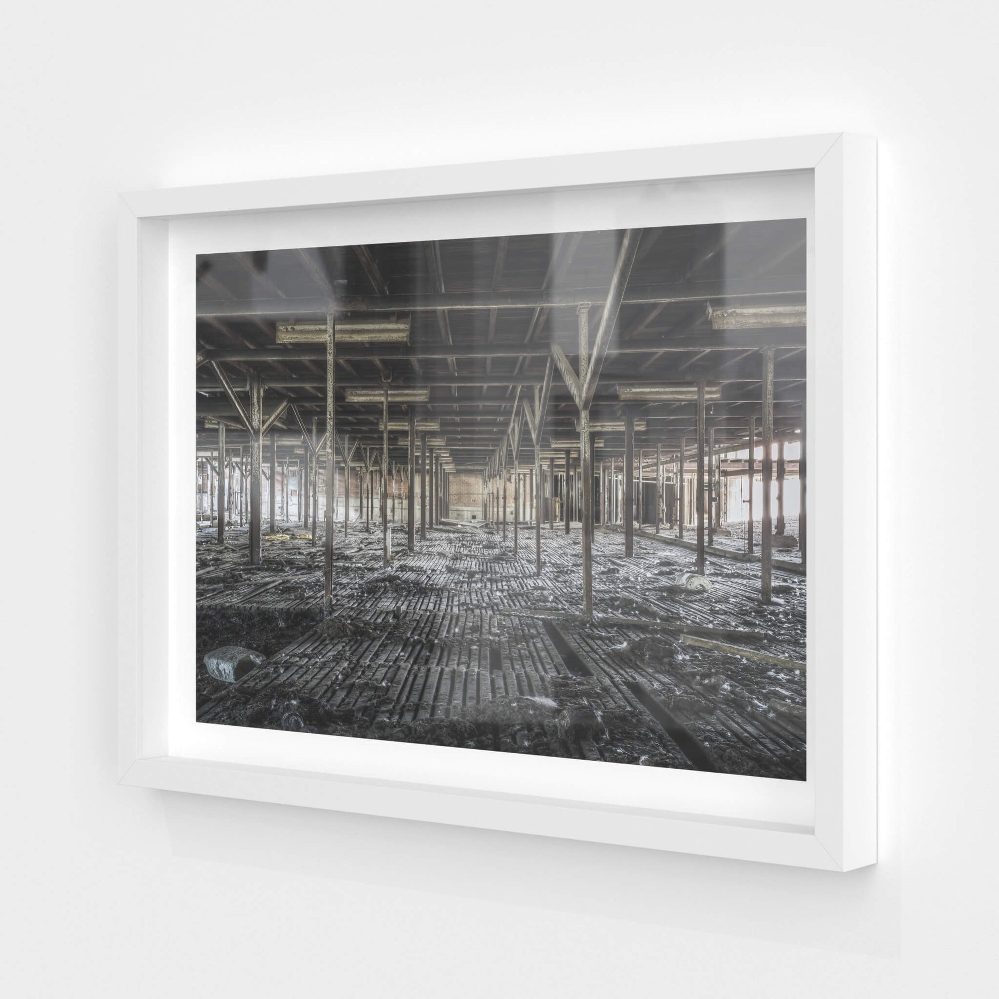 Bottom Holding Area | Blayney Abattoir Fine Art Print - Lost Collective Shop