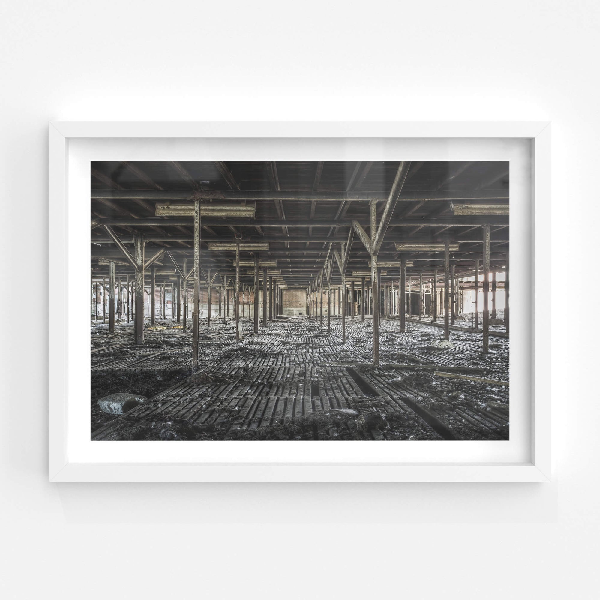 Bottom Holding Area | Blayney Abattoir Fine Art Print - Lost Collective Shop