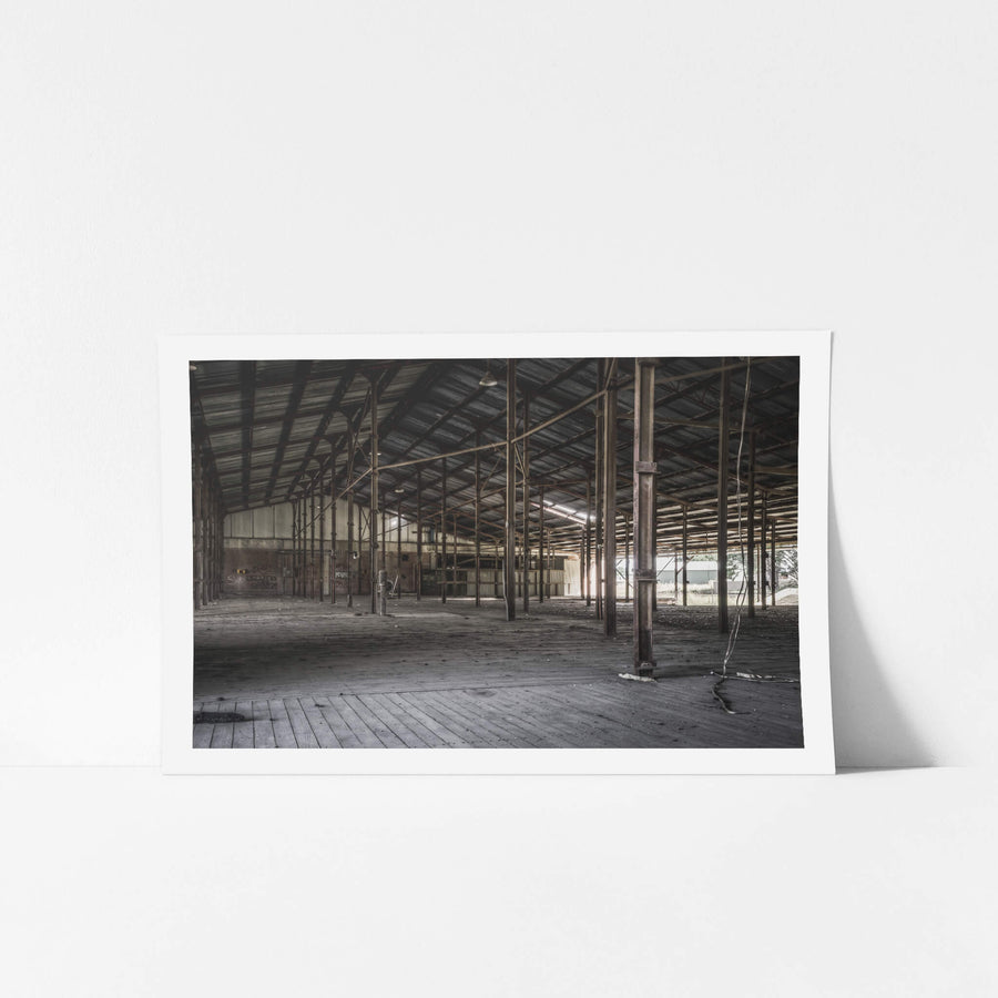 Skin Shed at Blayney Abattoir, steel columns run in rows across a wide timber floor, supporting a corrugated iron roof held.