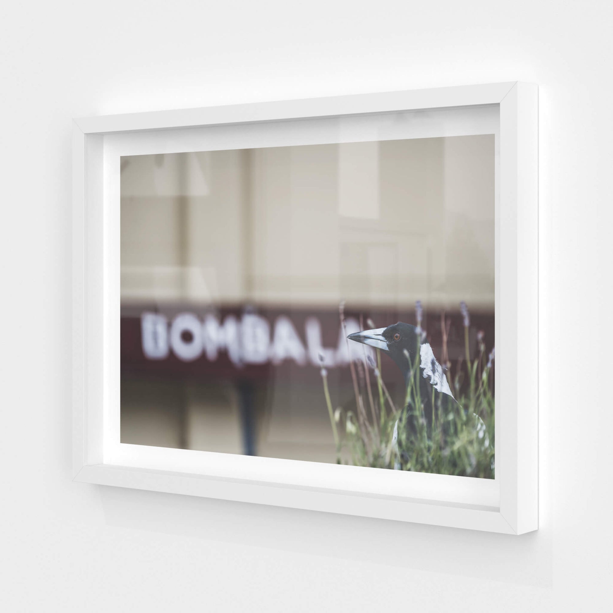 Volunteer | Bombala Station