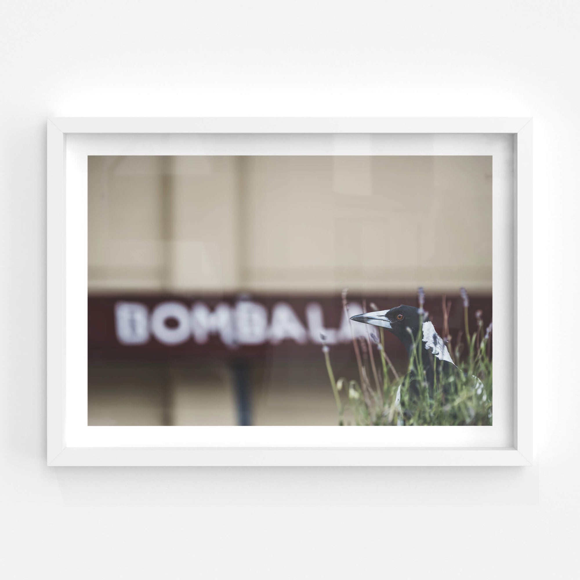 Volunteer | Bombala Station