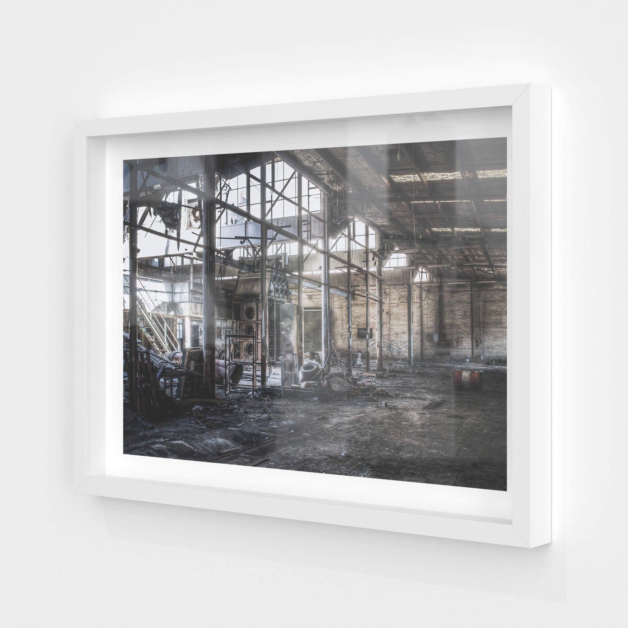 Plant Room | Bradmill Denim Fine Art Print - Lost Collective Shop