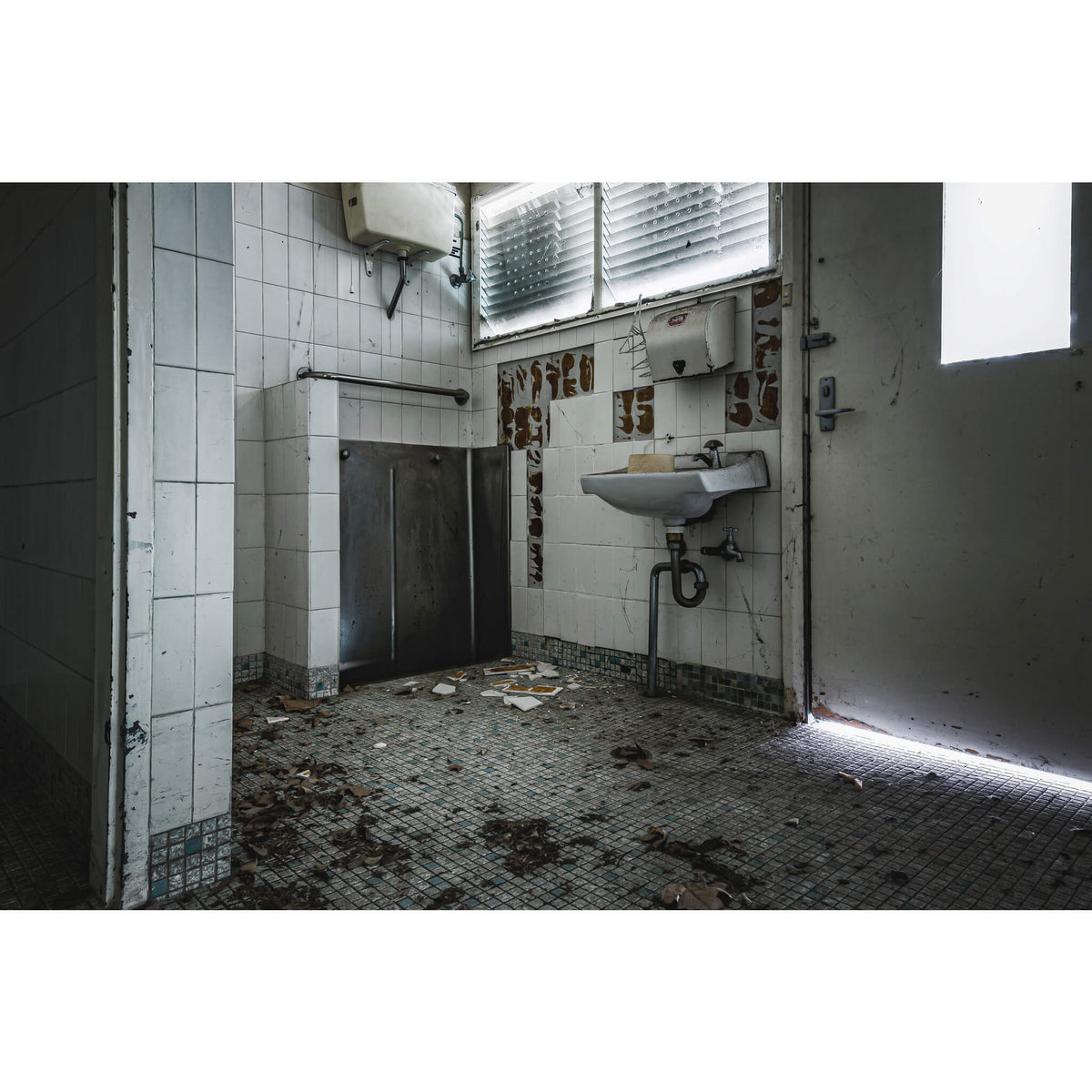 Ruined Bathroom | Callan Park