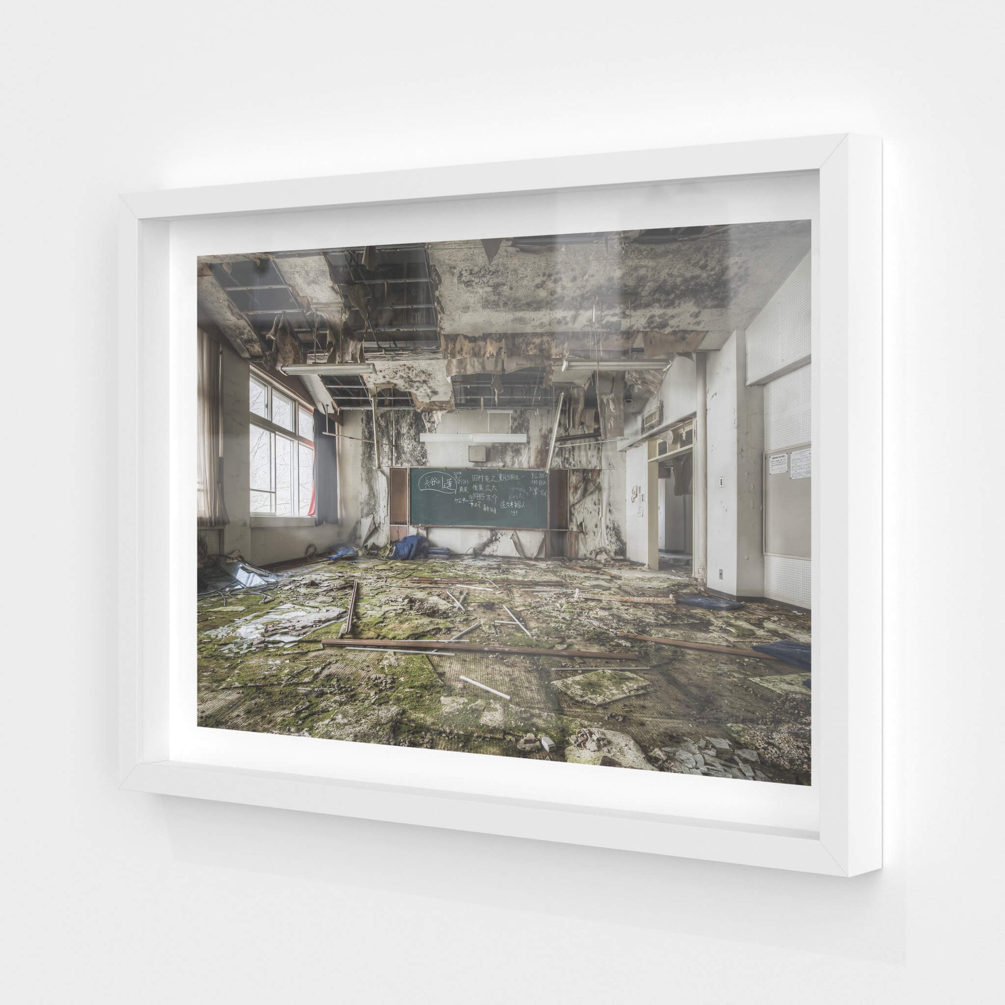 Moss Carpet | Family School Fureai Fine Art Print - Lost Collective Shop