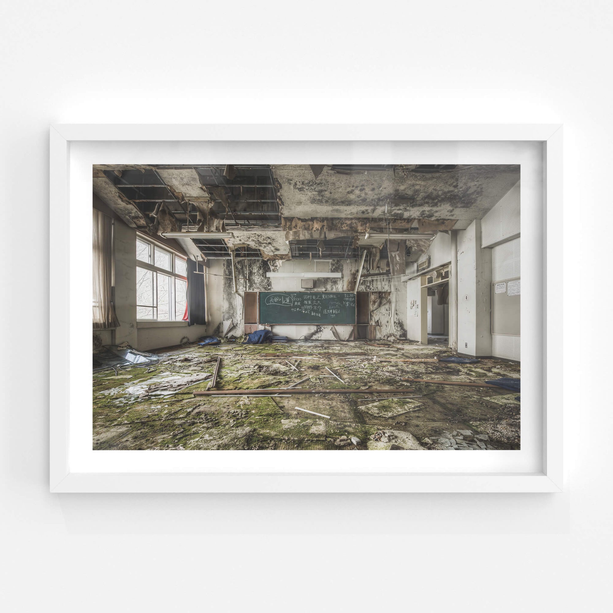 Moss Carpet | Family School Fureai Fine Art Print - Lost Collective Shop