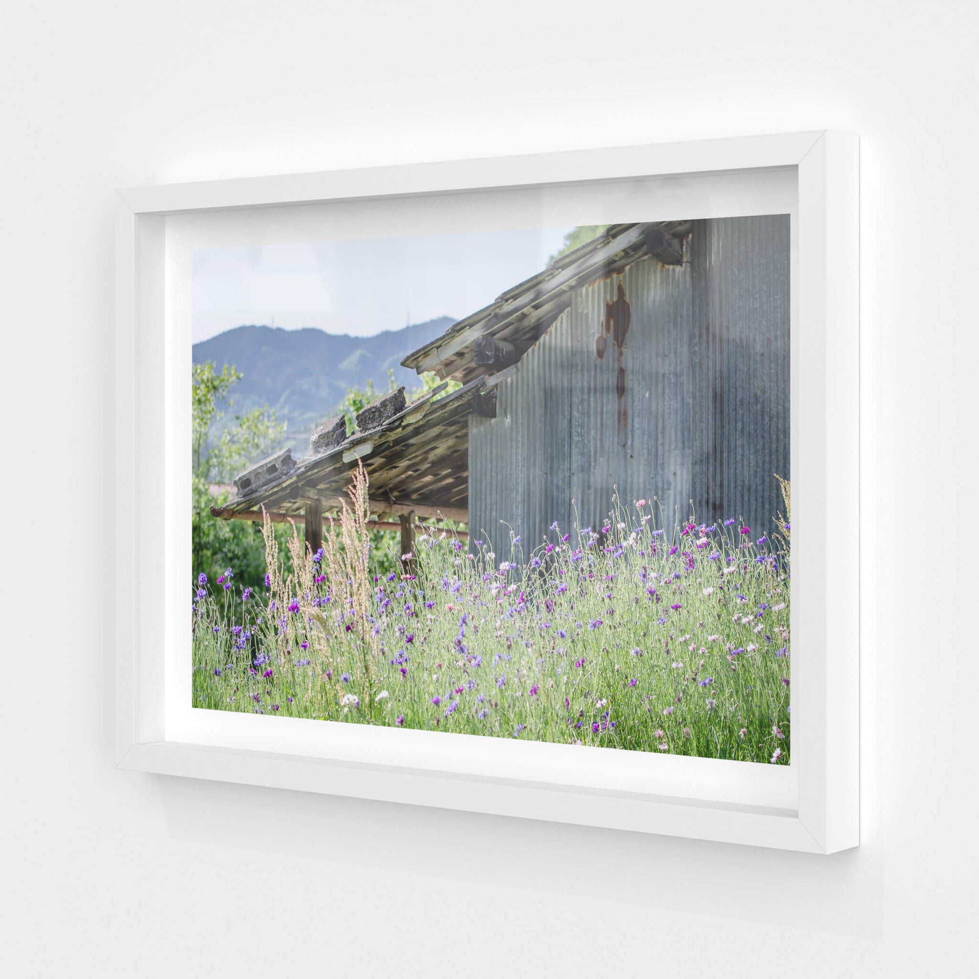 Annaka Farm Shed | Landscapes Fine Art Print - Lost Collective Shop