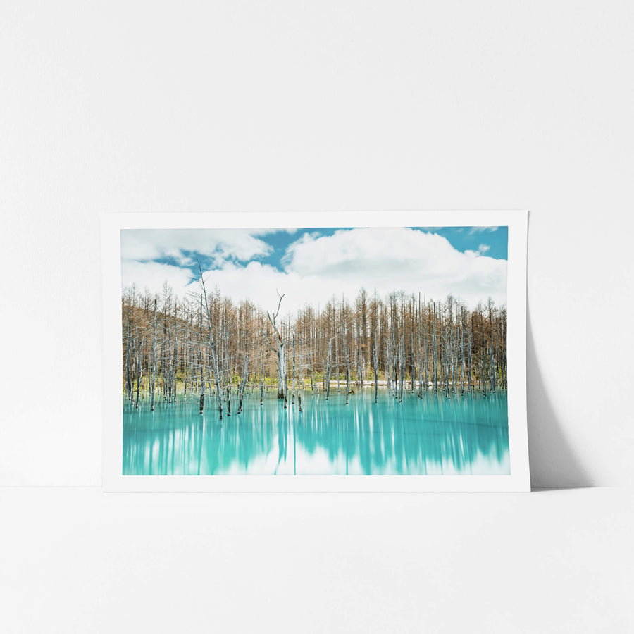 Aoiike at Landscapes, dead birch and larch stand upright in opaque turquoise water.