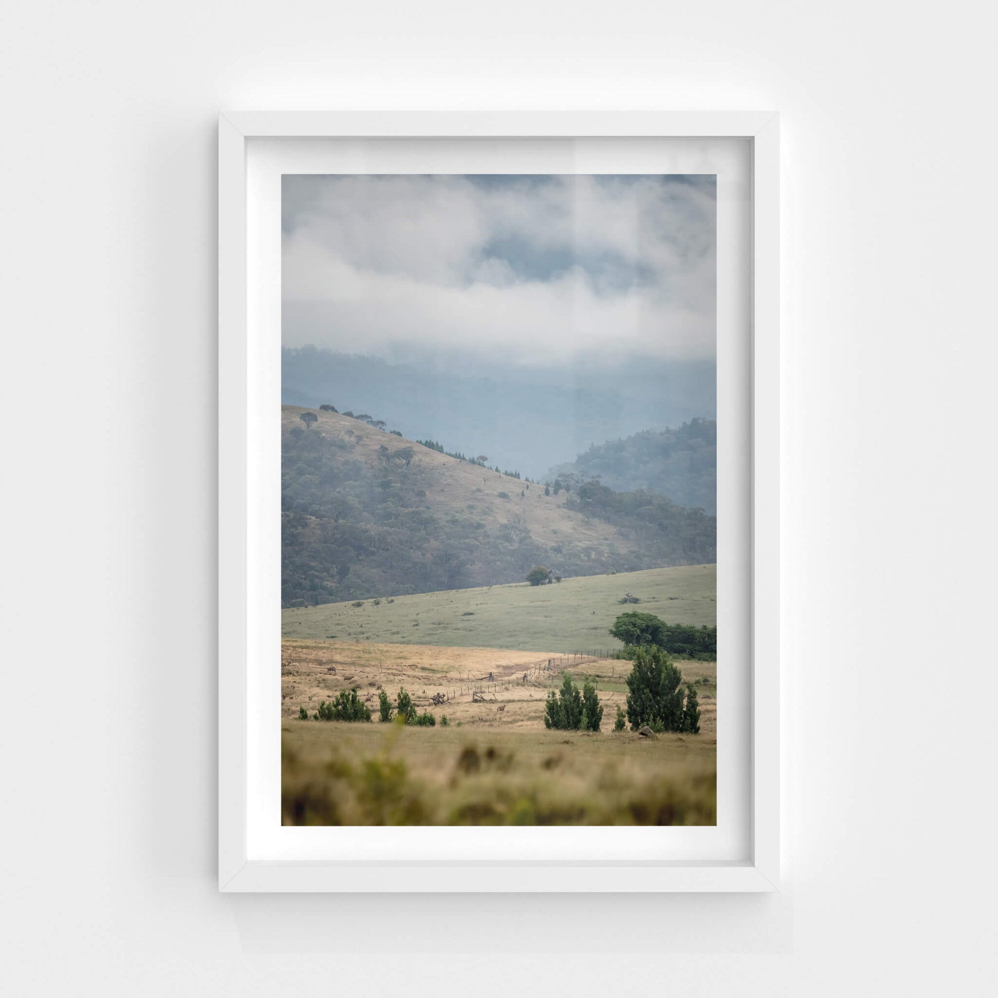 Blue Morning Ranges | Landscapes Fine Art Print - Lost Collective Shop