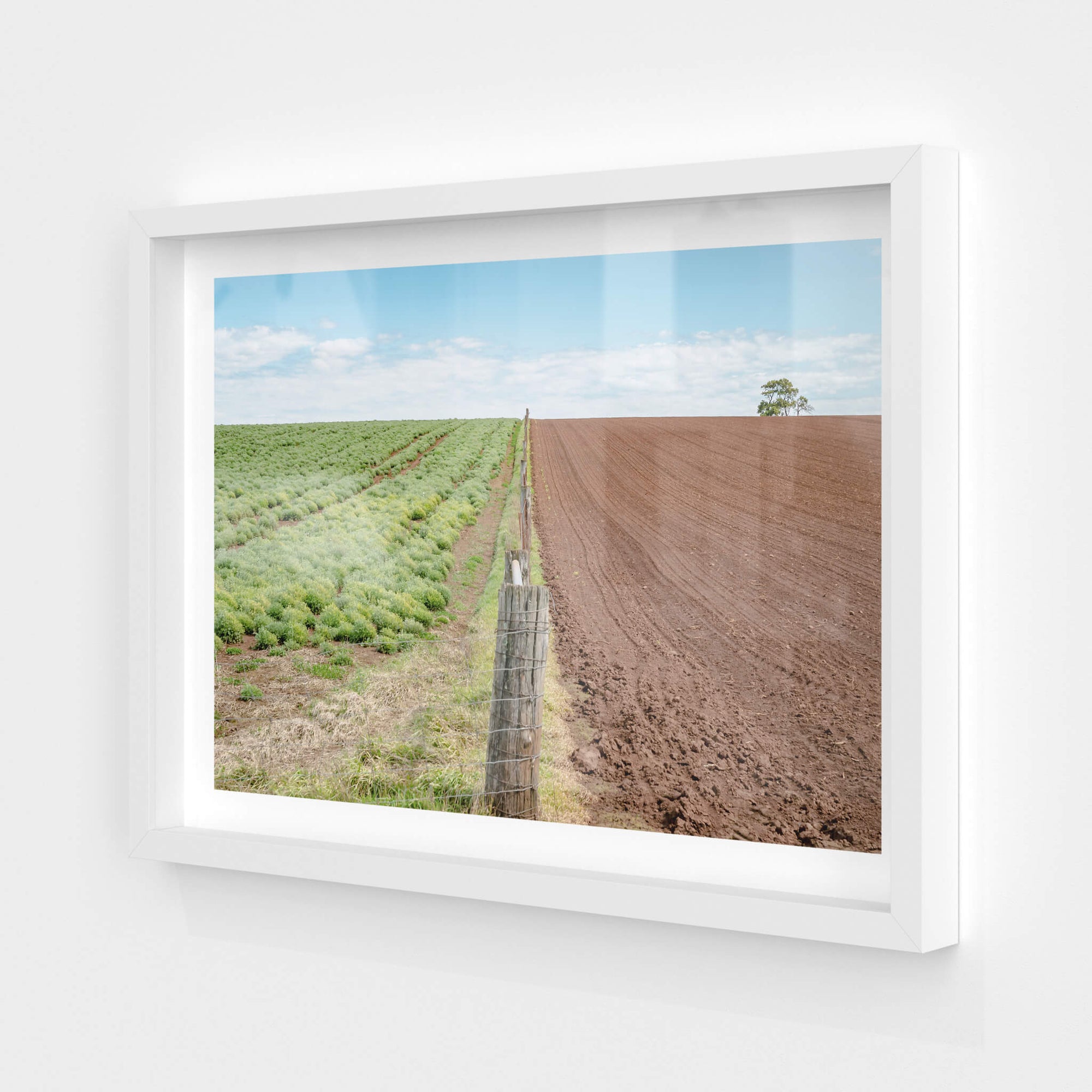 Fenceline | Landscapes Fine Art Print - Lost Collective Shop