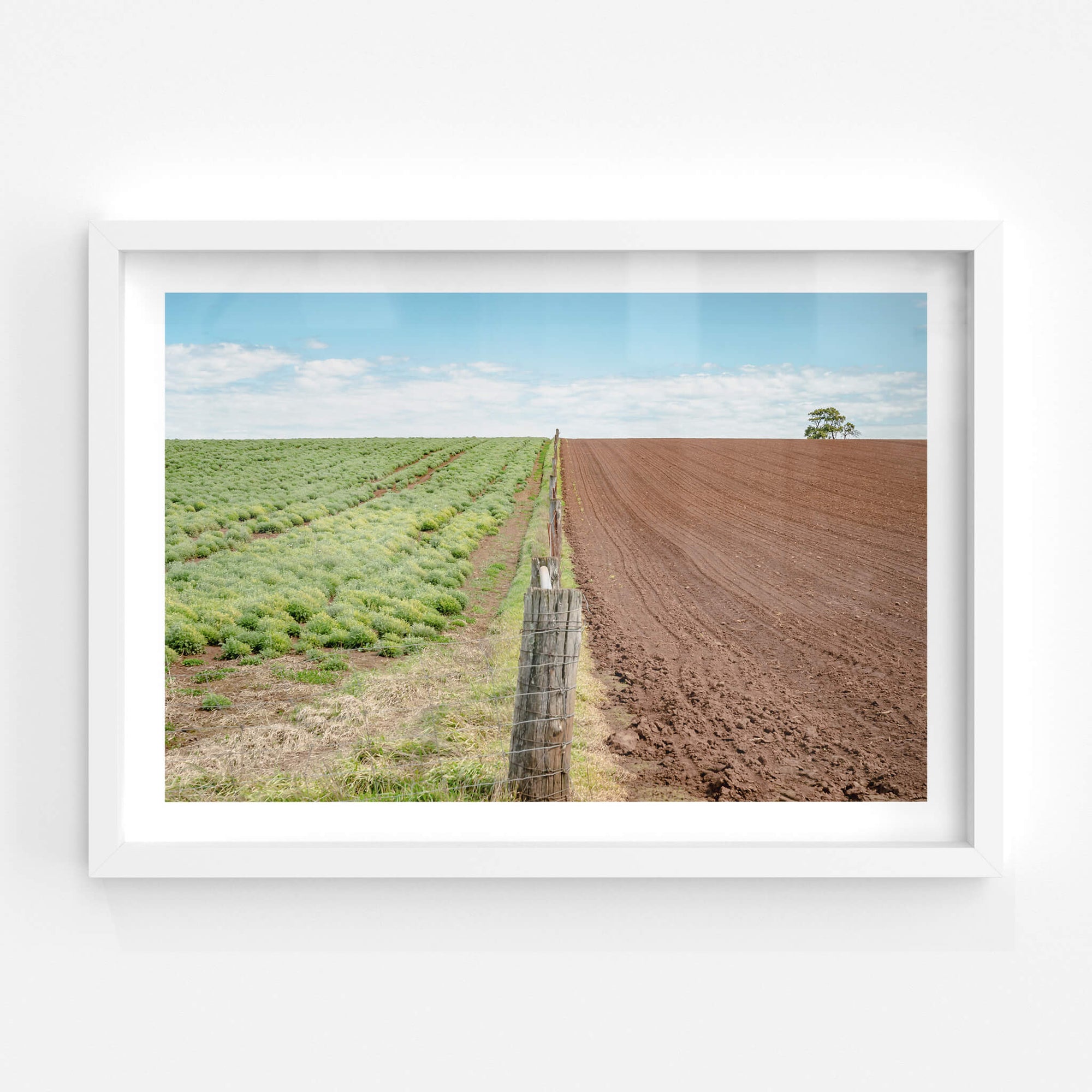 Fenceline | Landscapes Fine Art Print - Lost Collective Shop