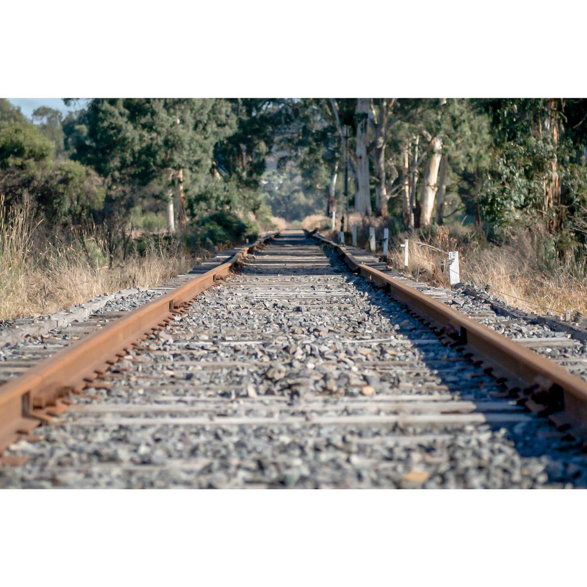 Healsville Railway | Landscapes Fine Art Print - Lost Collective Shop
