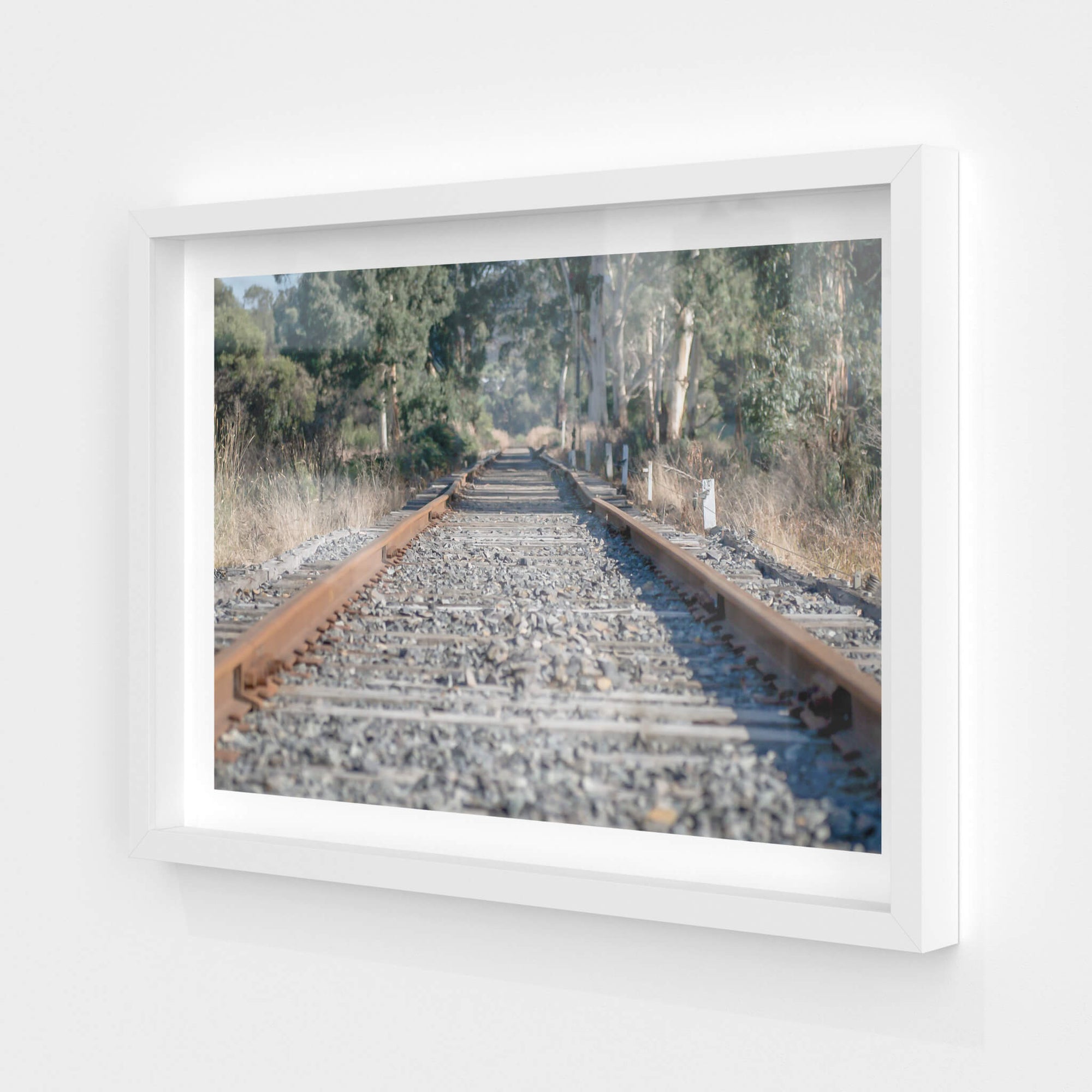 Healsville Railway | Landscapes Fine Art Print - Lost Collective Shop