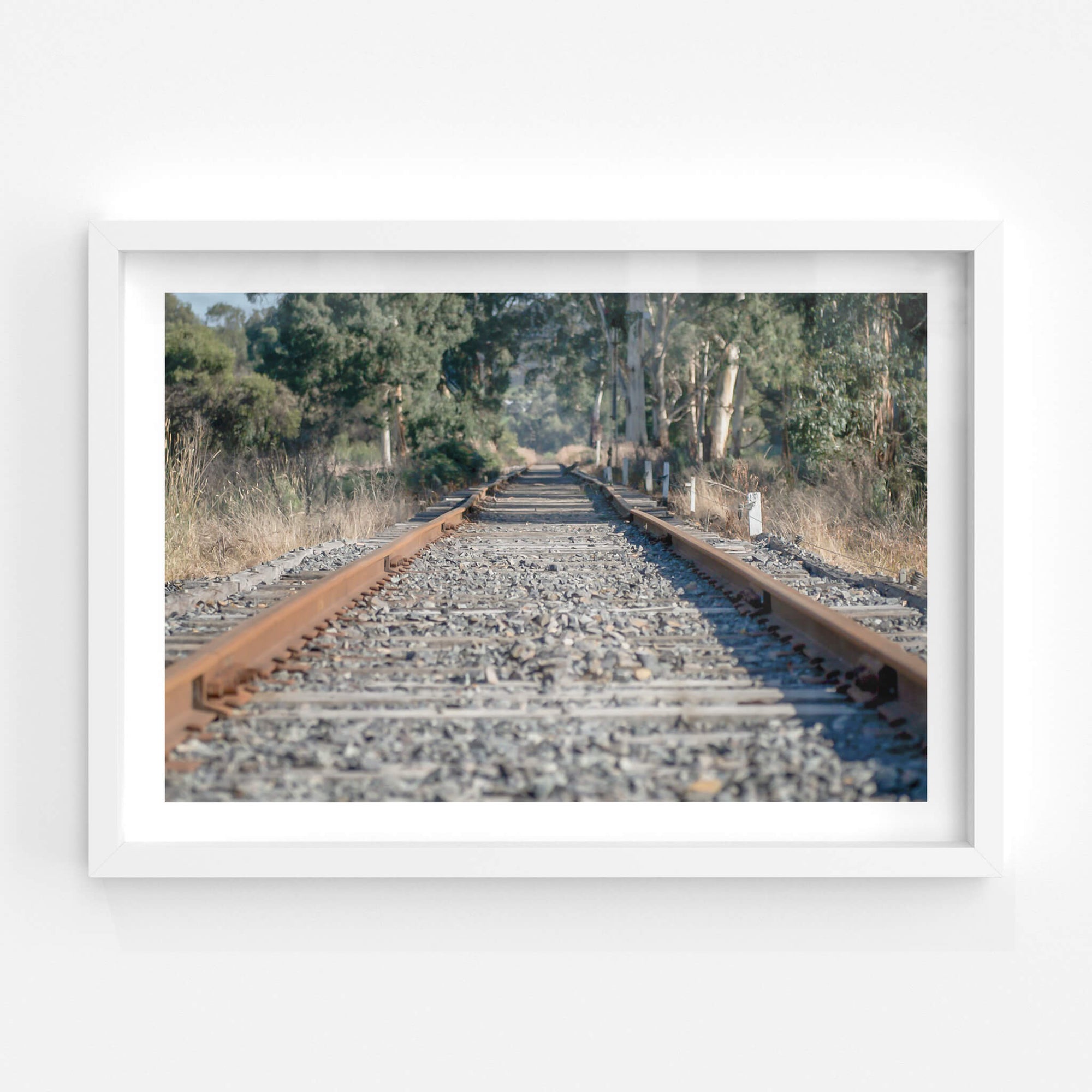 Healsville Railway | Landscapes Fine Art Print - Lost Collective Shop