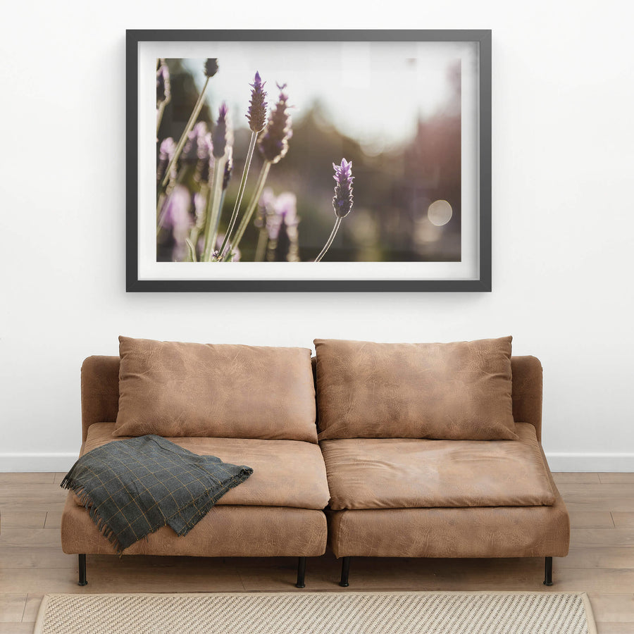 black frame