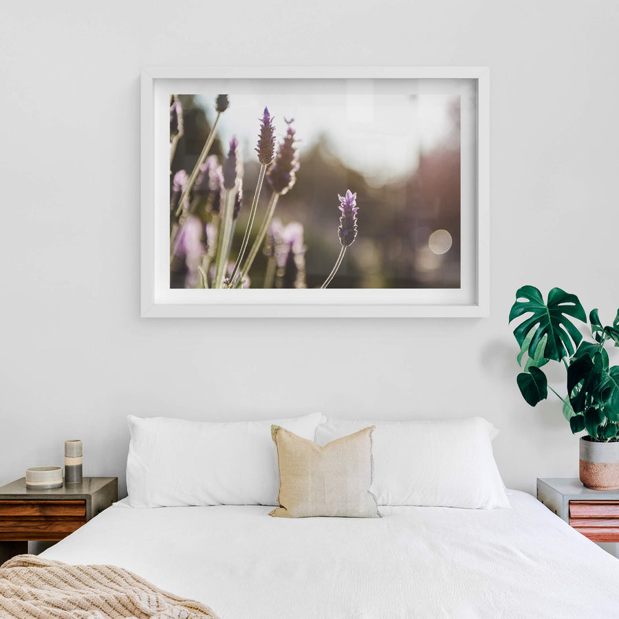 white frame