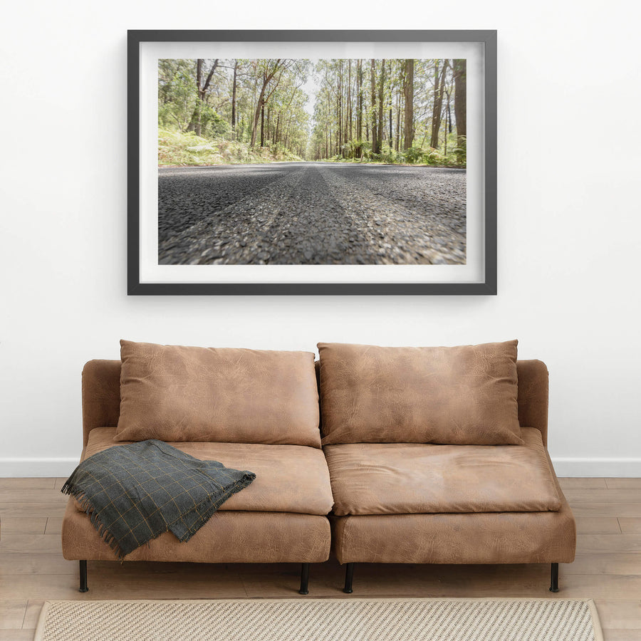 Myrtle Mountain Road at Landscapes, a view from the bitumen of Myrtle Mountain Road as it cuts through the rainforest.