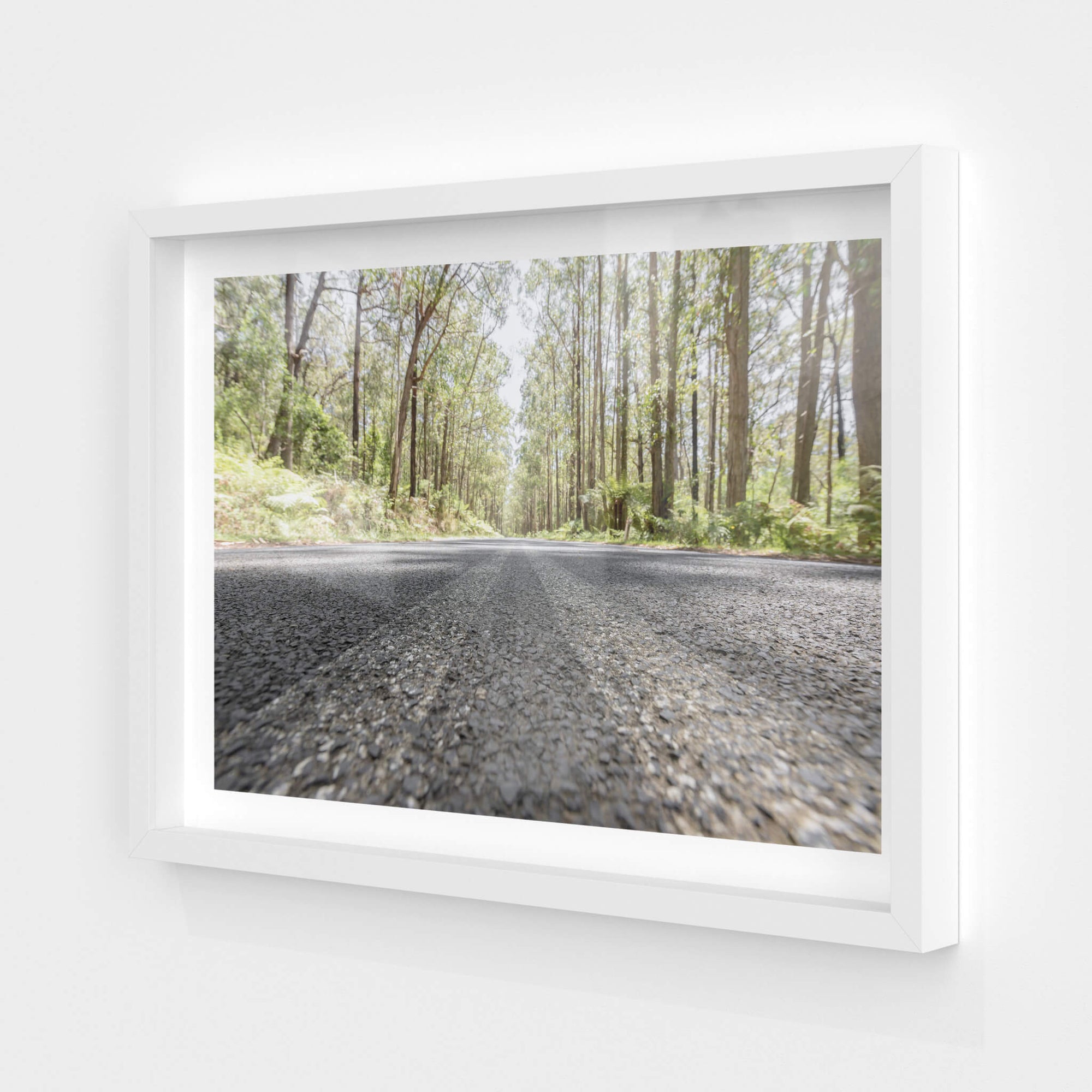 Myrtle Mountain Road | Landscapes Fine Art Print - Lost Collective Shop