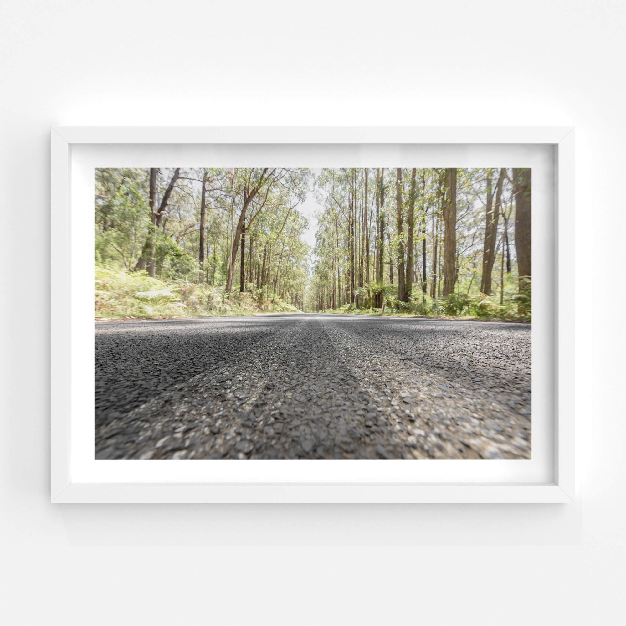 Myrtle Mountain Road | Landscapes Fine Art Print - Lost Collective Shop