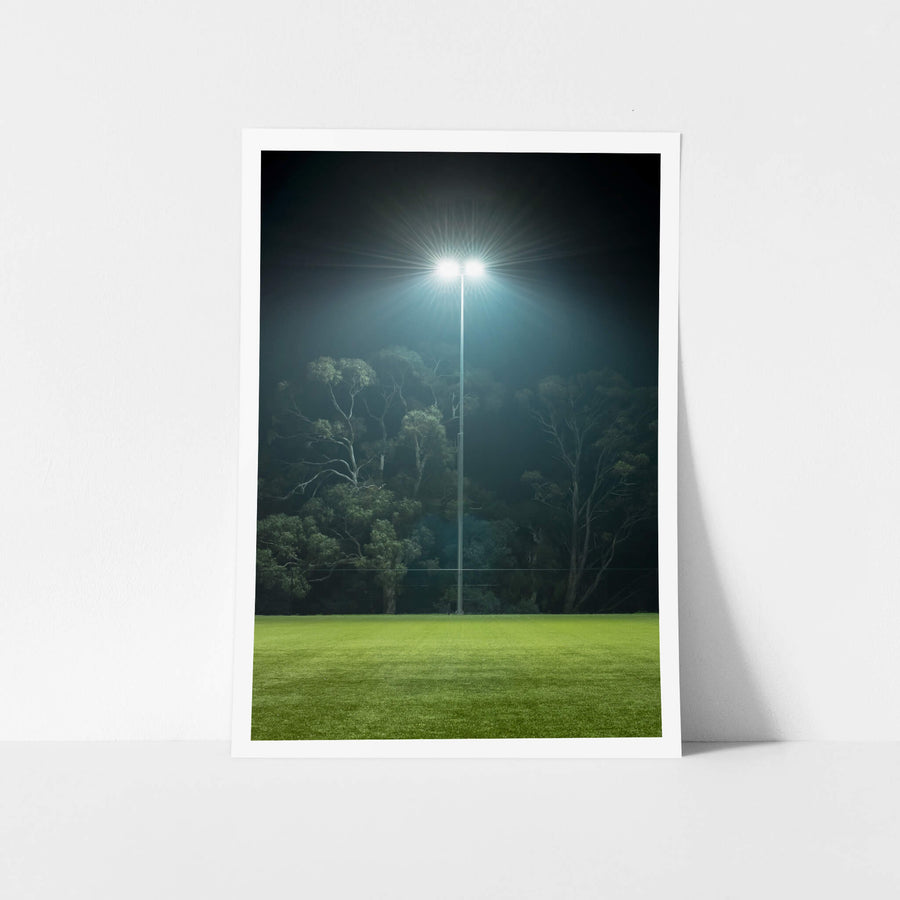 Nightlight at Landscapes, a single floodlight illuminates the night, standing tall against the backdrop of silhouetted trees.