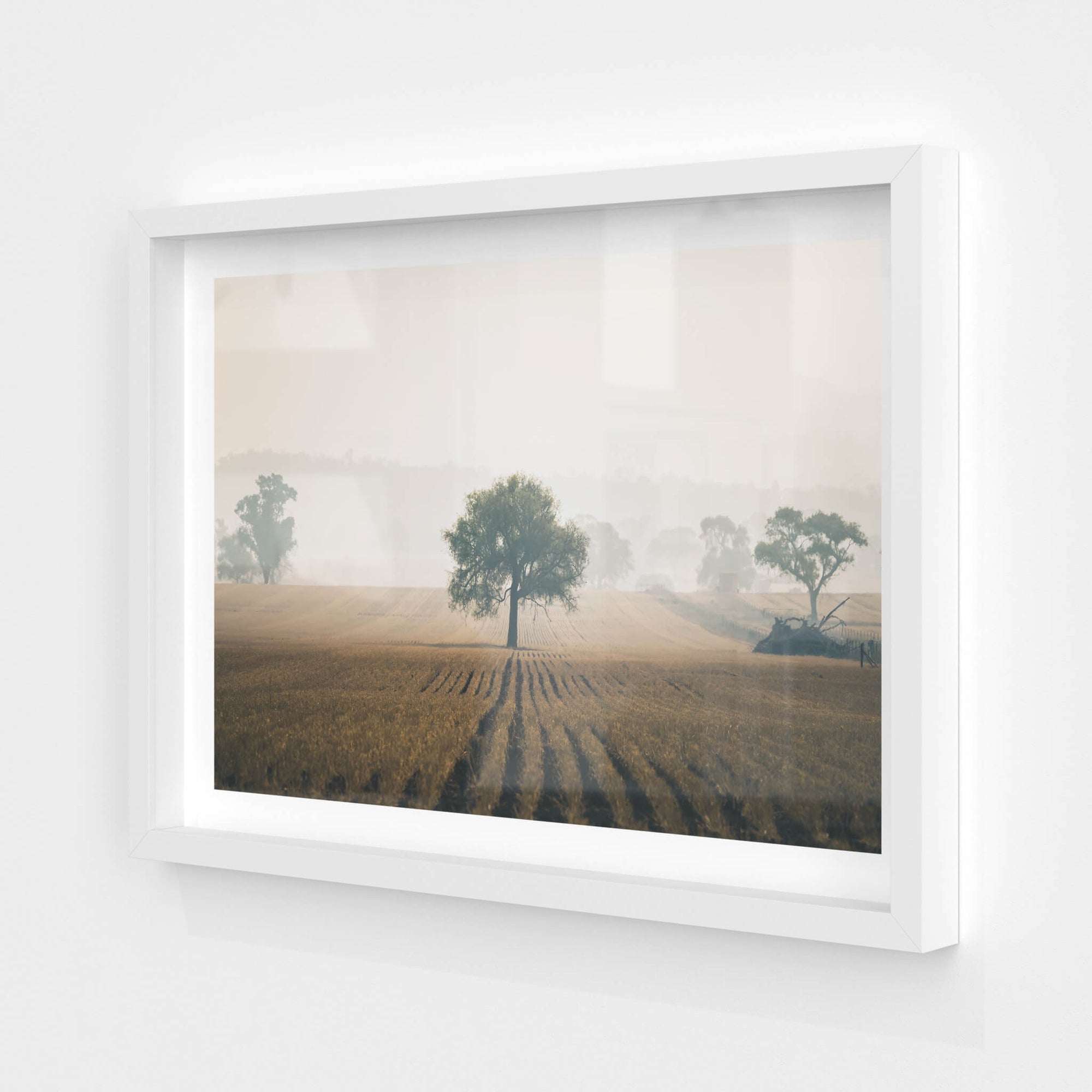 Solitude | Landscapes Fine Art Print - Lost Collective Shop