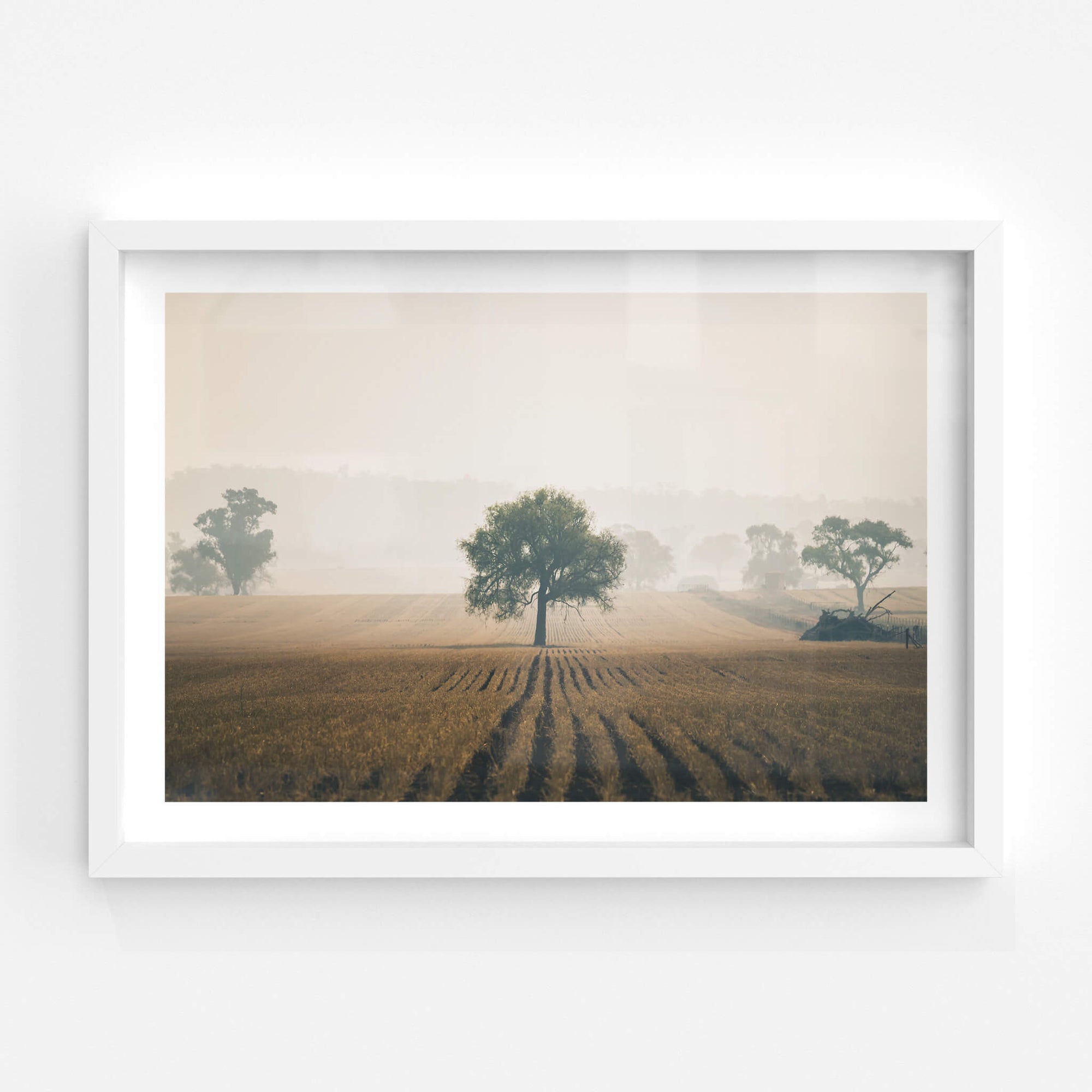 Solitude | Landscapes Fine Art Print - Lost Collective Shop