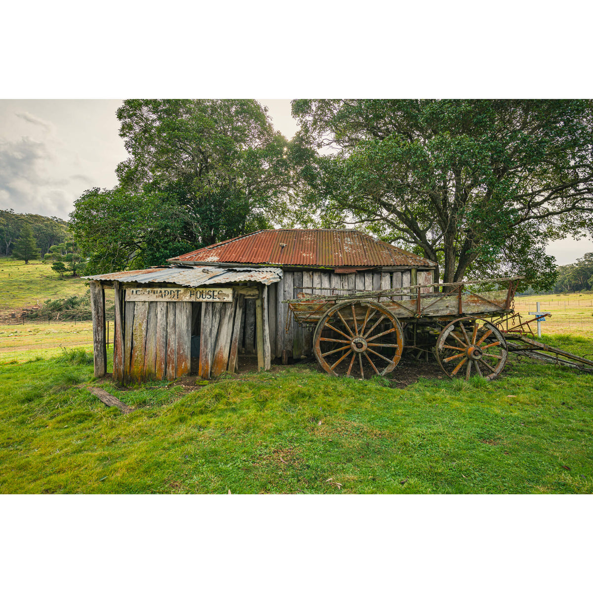 Backyard | Leichhardt House