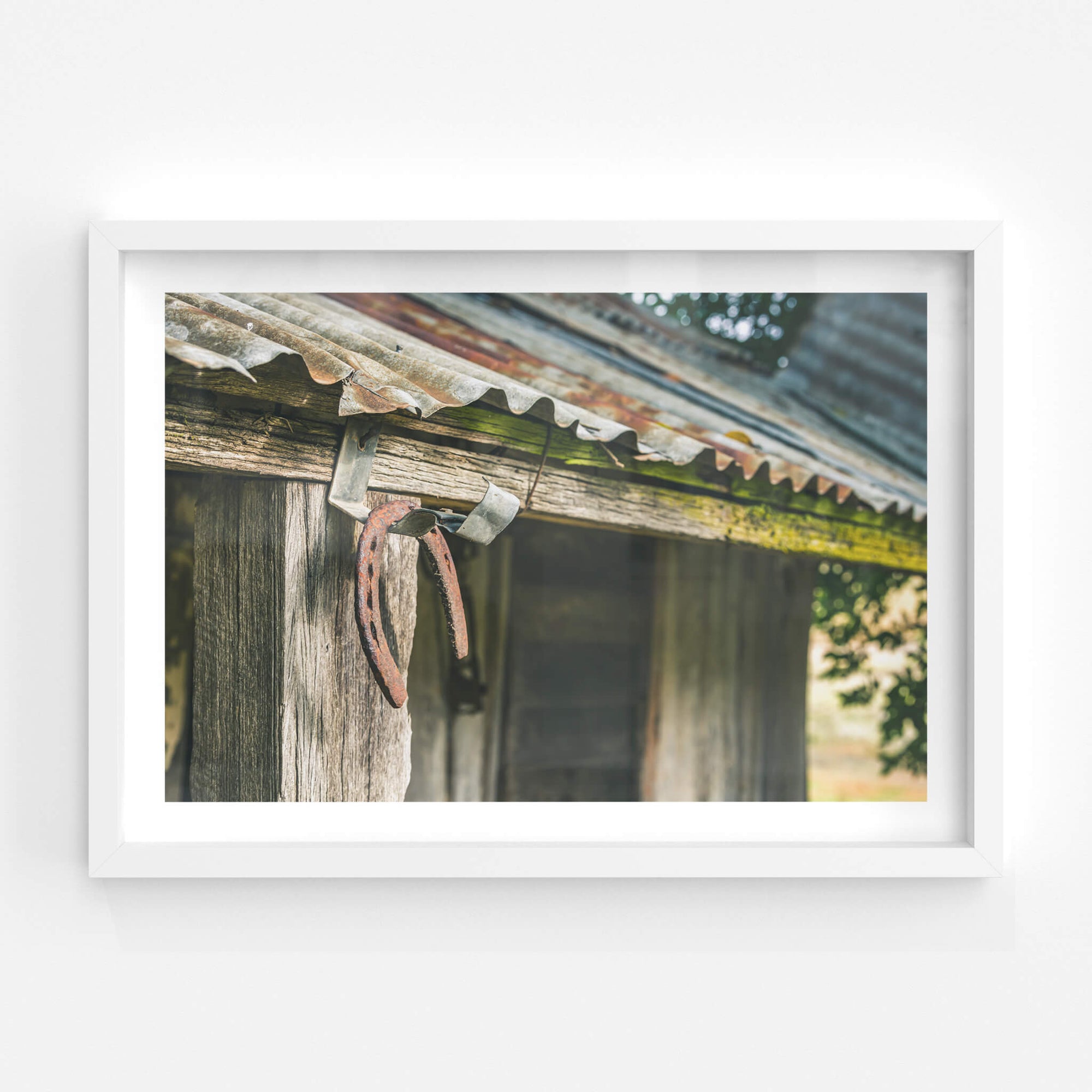 Horseshoe | Leichhardt House