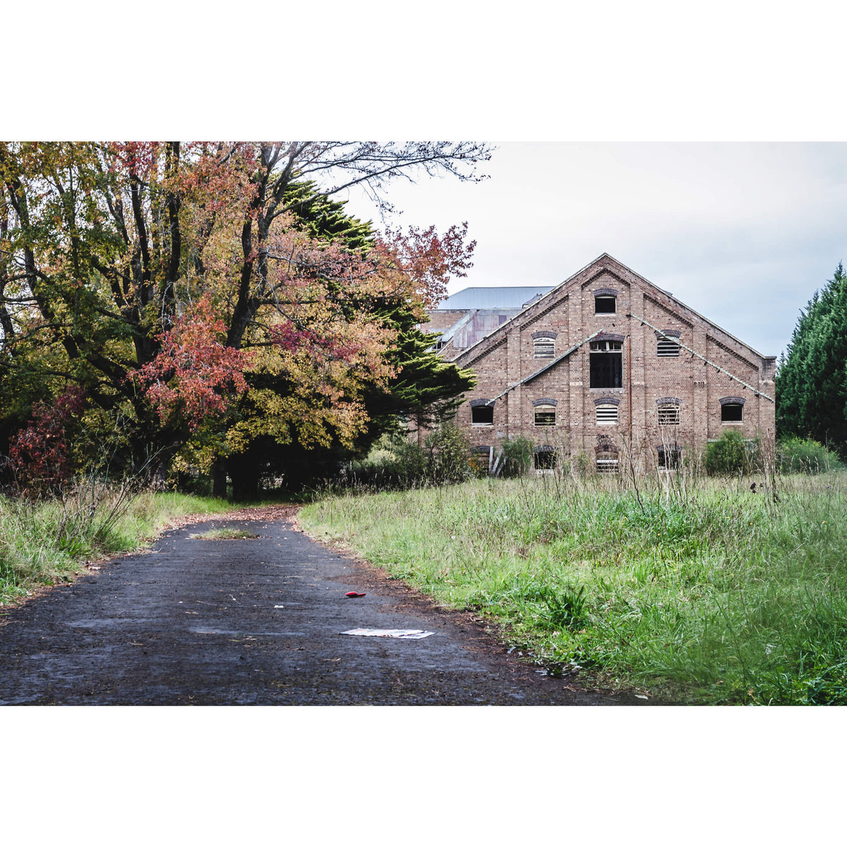 Maltings Driveway | Mittagong Maltings Fine Art Print - Lost Collective Shop