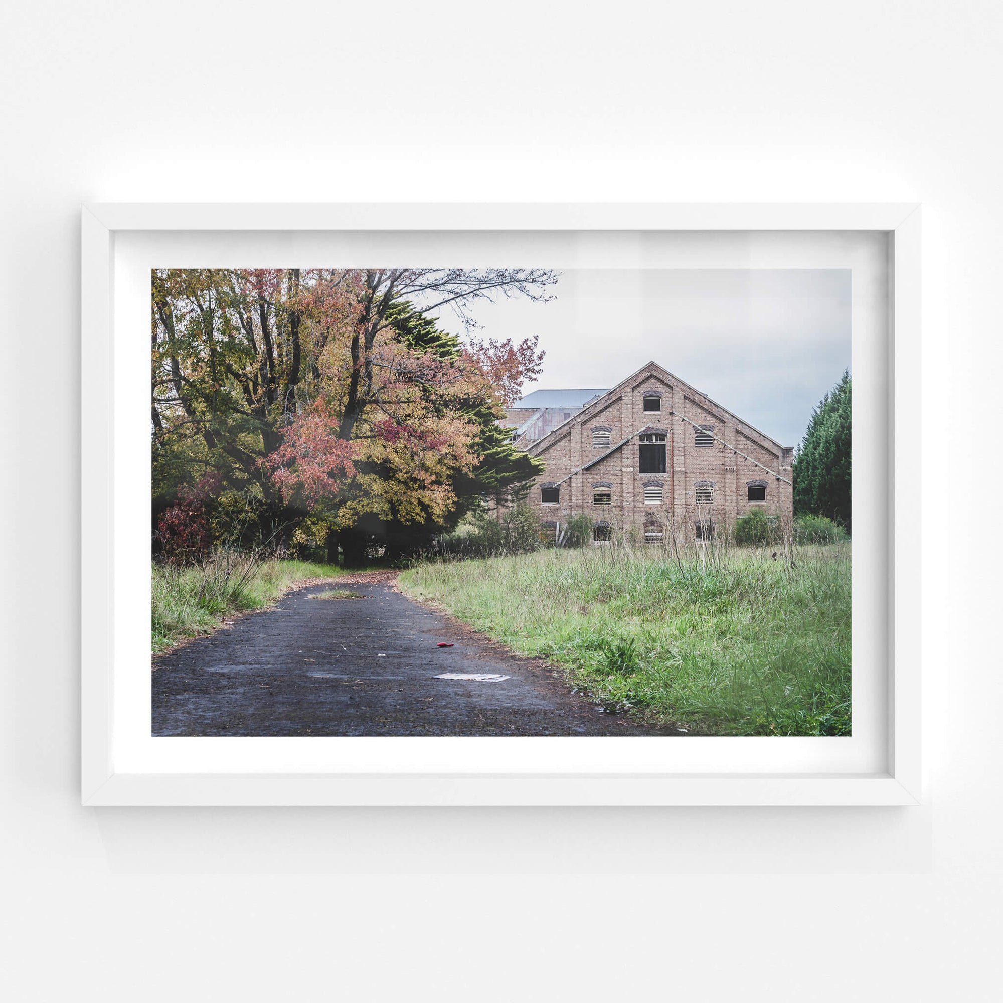 Maltings Driveway | Mittagong Maltings Fine Art Print - Lost Collective Shop
