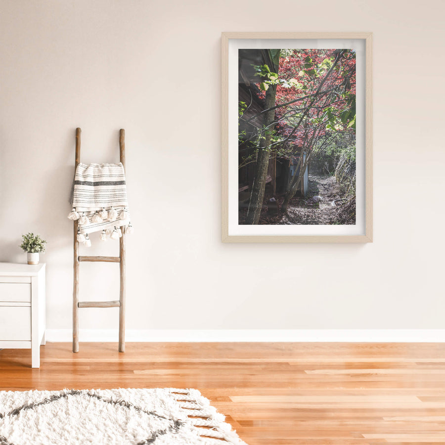 Living Quarters Walkway at Nichitsu Mining Village, a Japanese maple burns red above a narrow passage between timber.