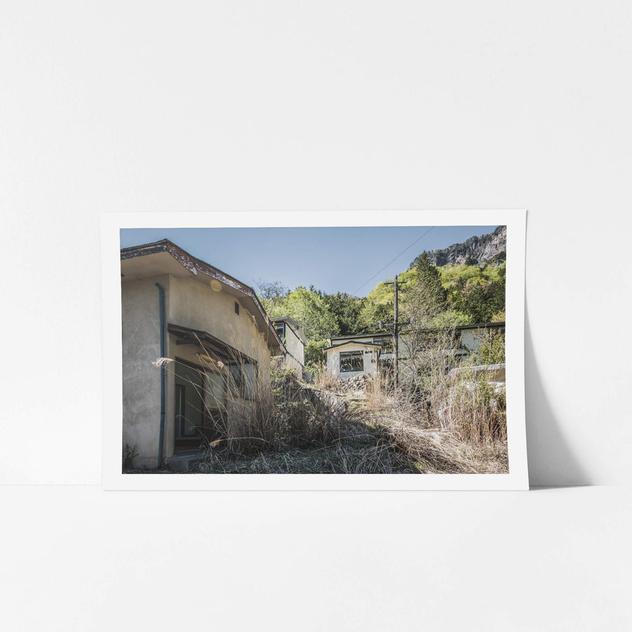 Overgrowth at Nichitsu Mining Village, looking upwards from the central part of the village towards some of the public.