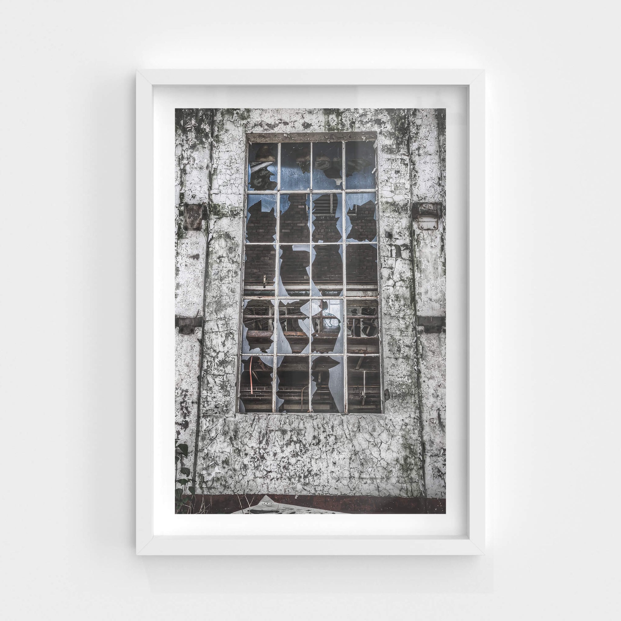 Powder Room Window | Peters' Ice Cream Factory Fine Art Print - Lost Collective Shop