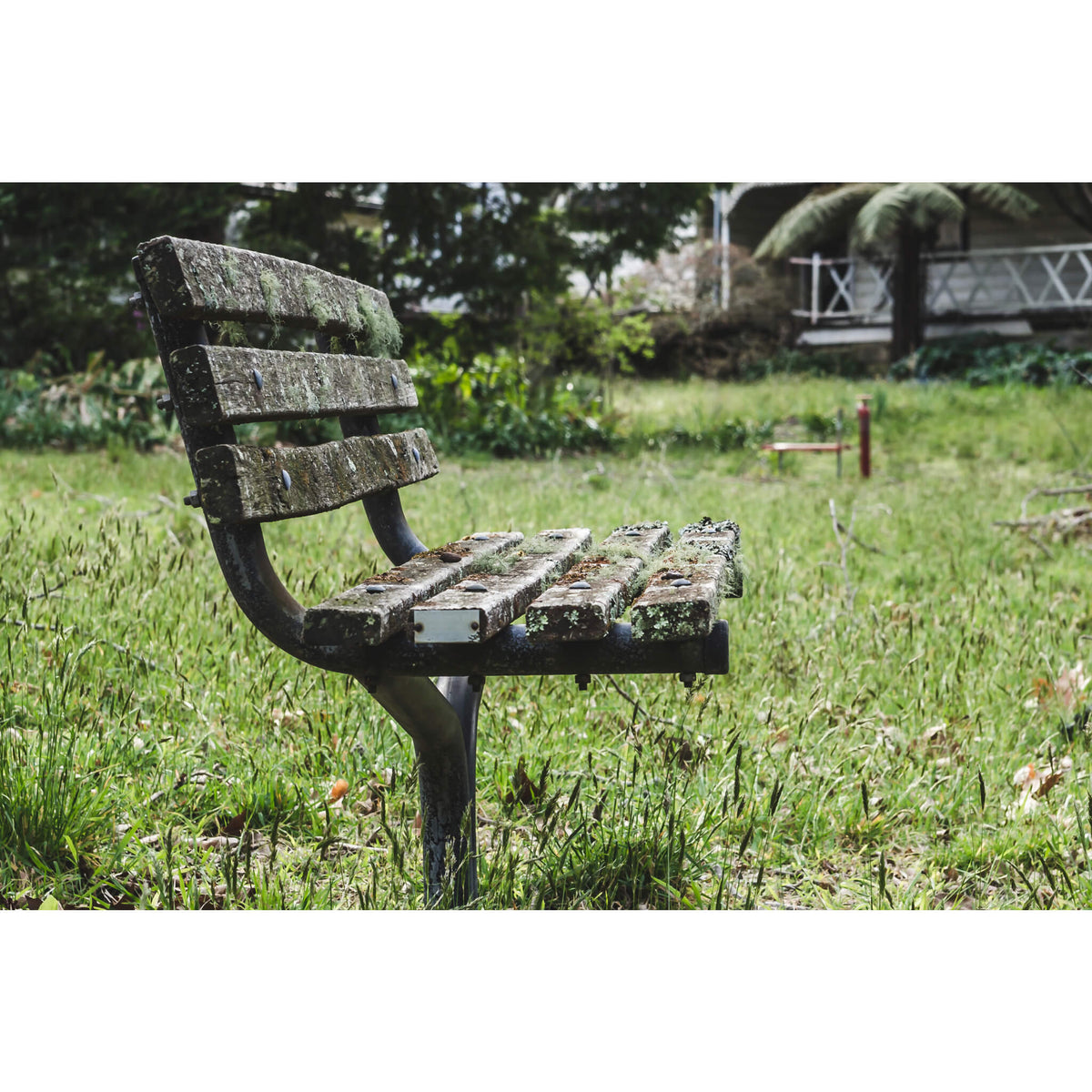 Bench Seat | Queen Victoria Sanitorium Fine Art Print - Lost Collective Shop