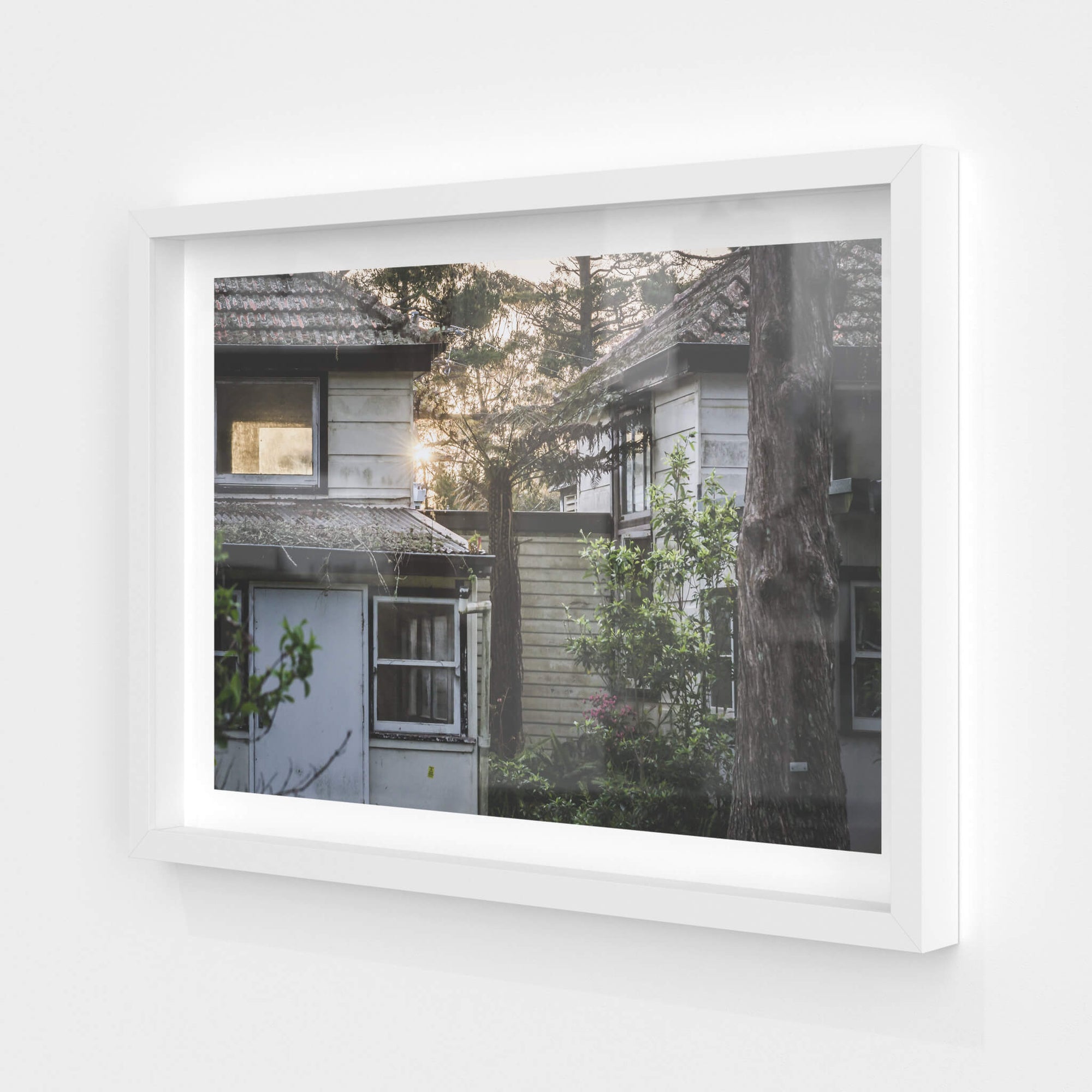 Garden | Queen Victoria Sanitorium Fine Art Print - Lost Collective Shop