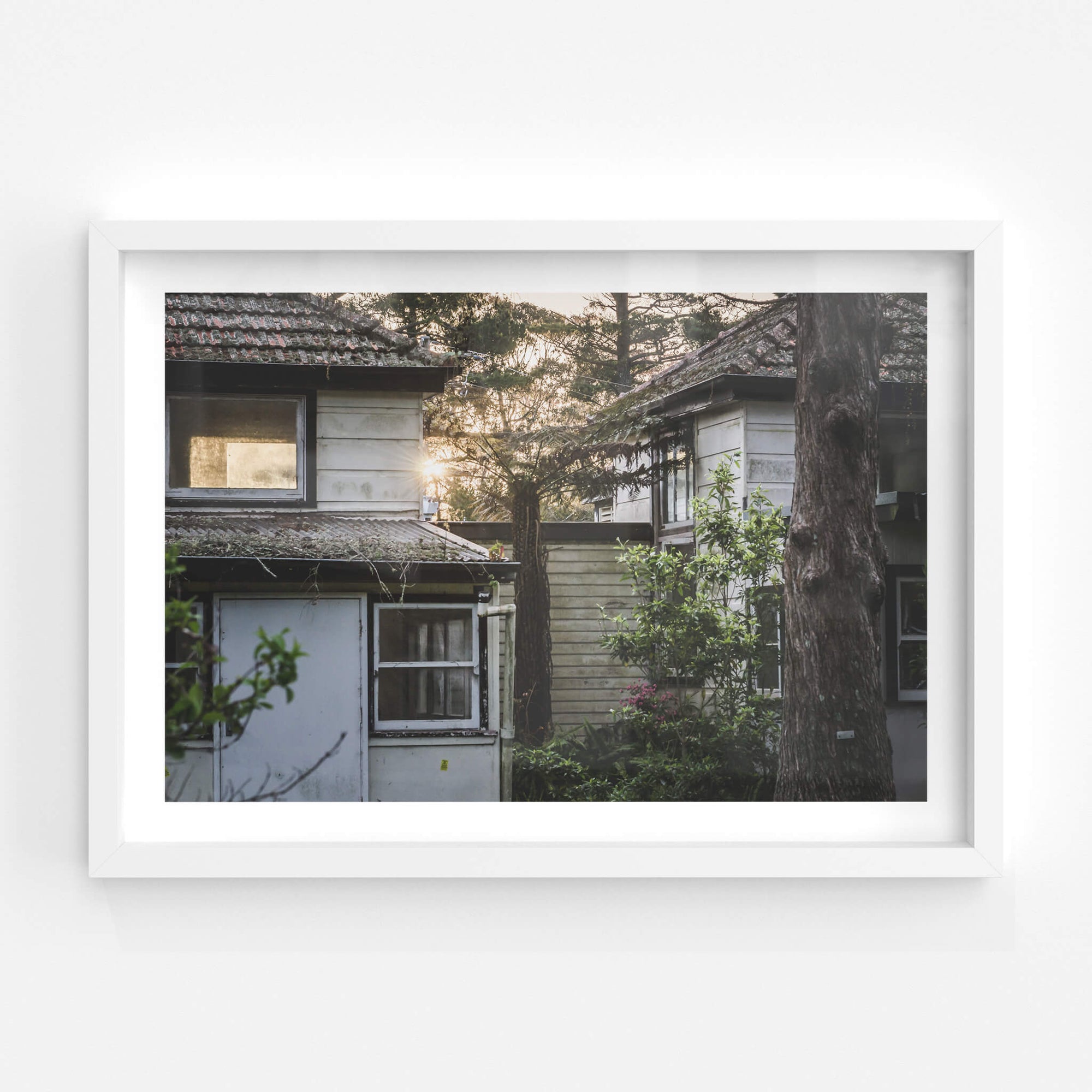 Garden | Queen Victoria Sanitorium Fine Art Print - Lost Collective Shop