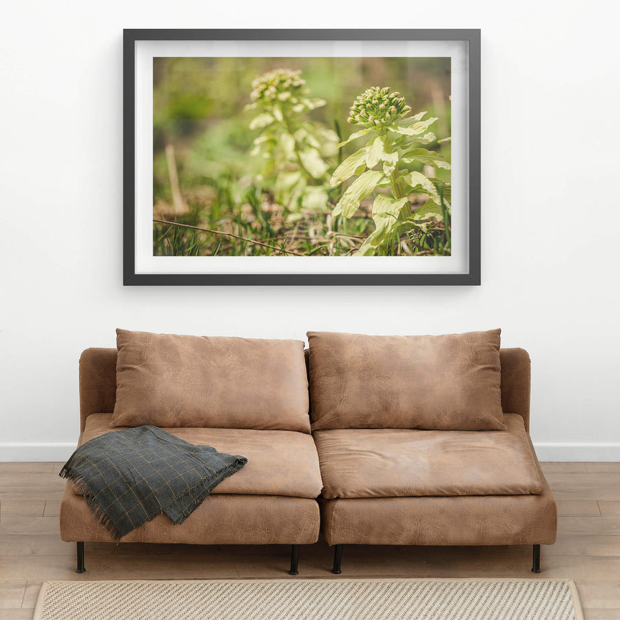 black frame
