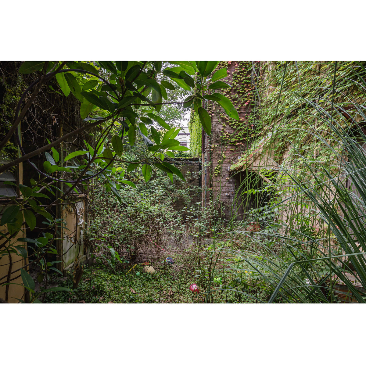 Nature Always Finds A Way | Terminus Hotel Fine Art Print - Lost Collective Shop