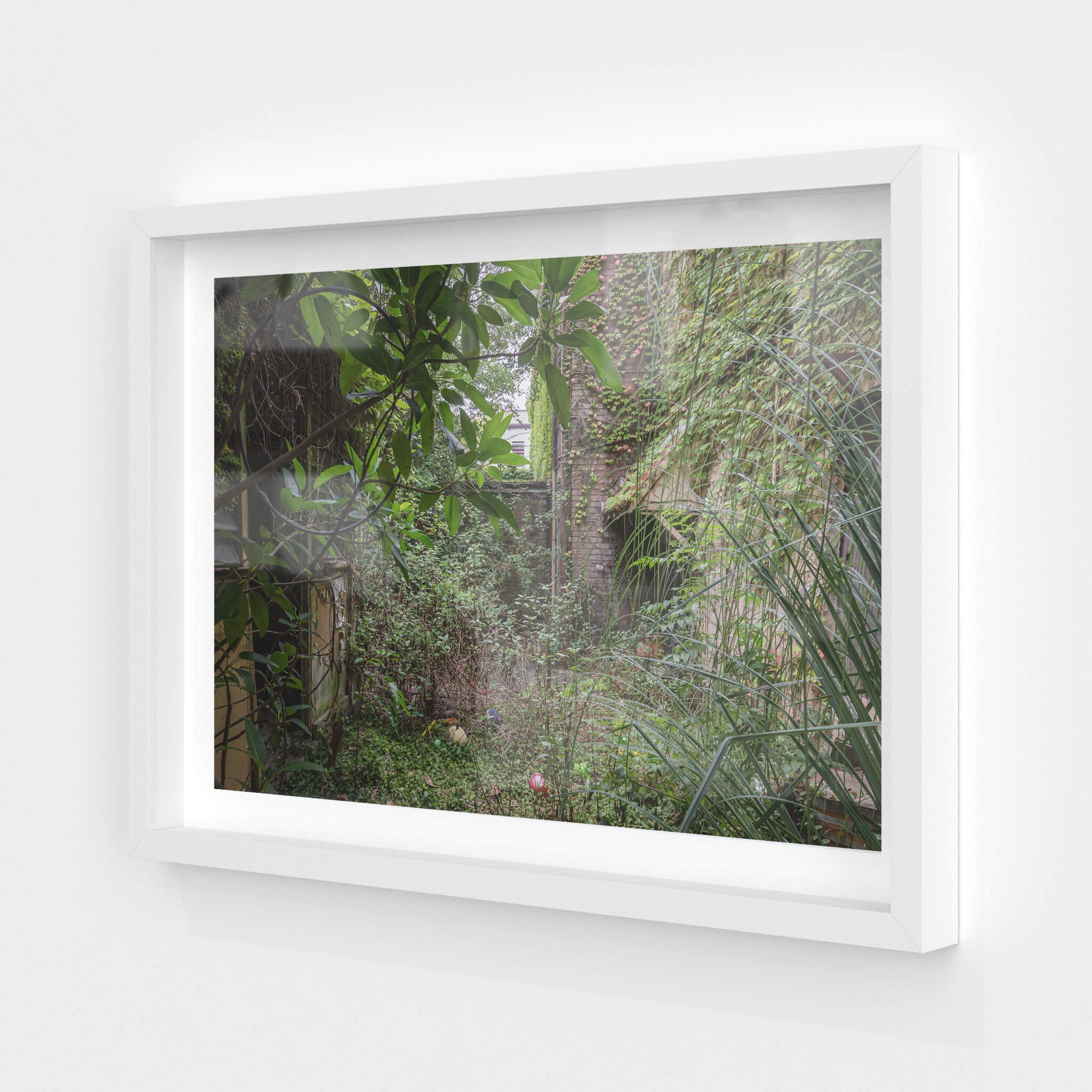 Nature Always Finds A Way | Terminus Hotel Fine Art Print - Lost Collective Shop