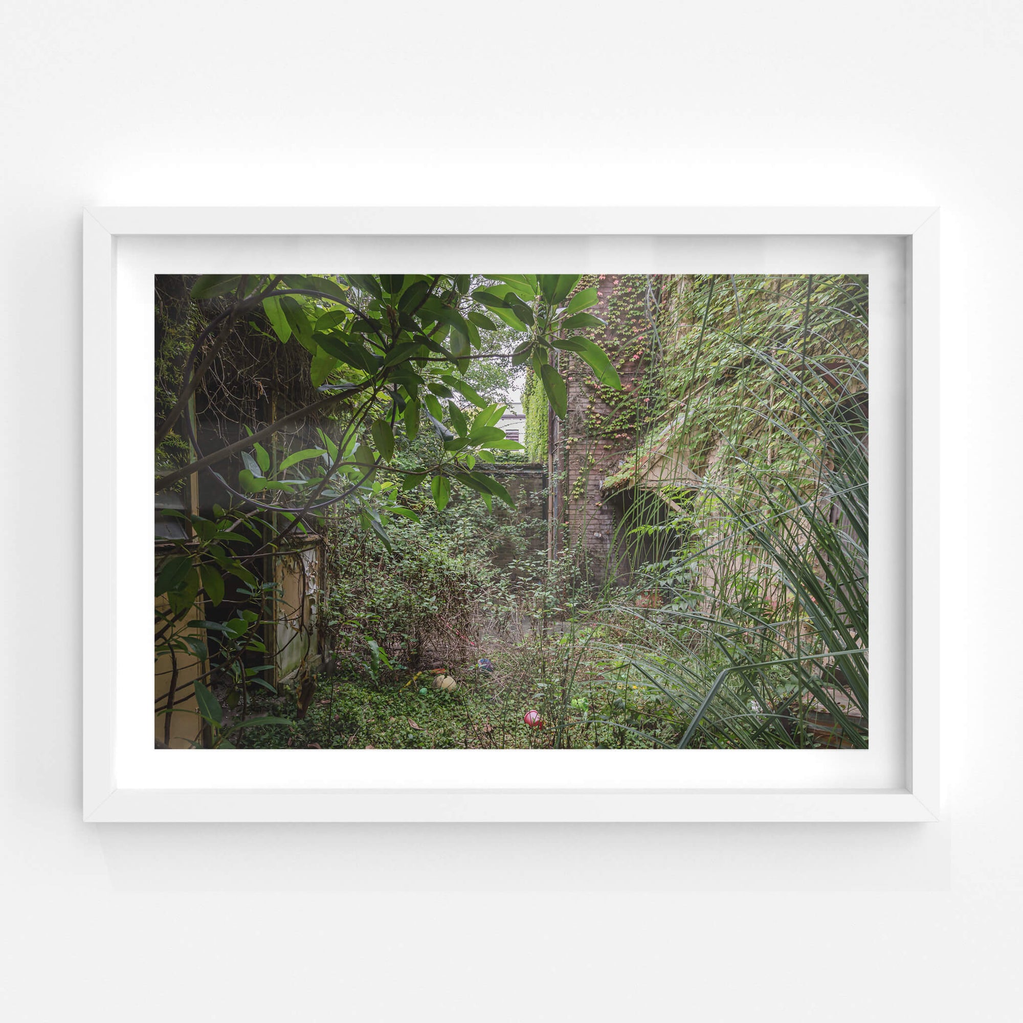 Nature Always Finds A Way | Terminus Hotel Fine Art Print - Lost Collective Shop