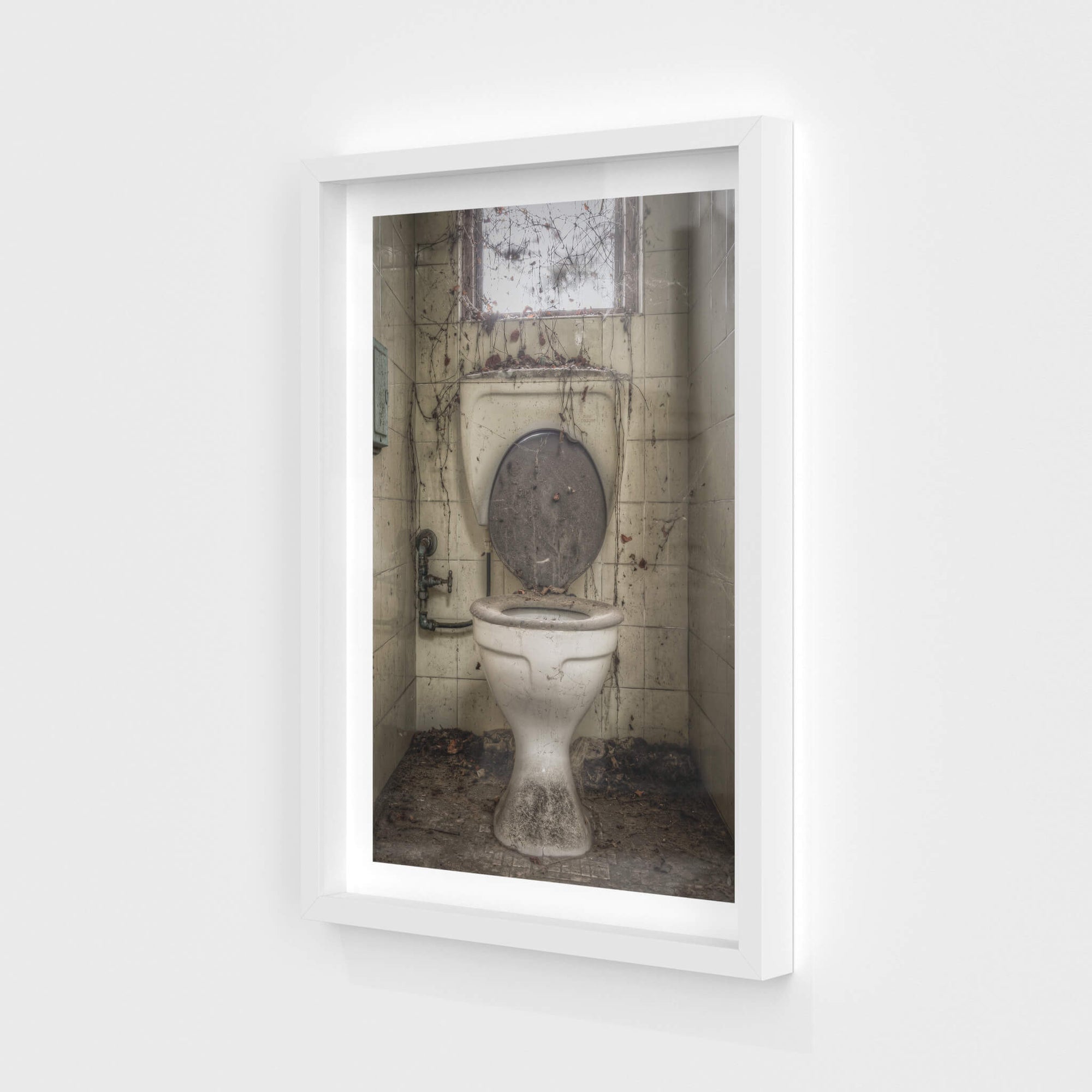 Toilet | Terminus Hotel Fine Art Print - Lost Collective Shop