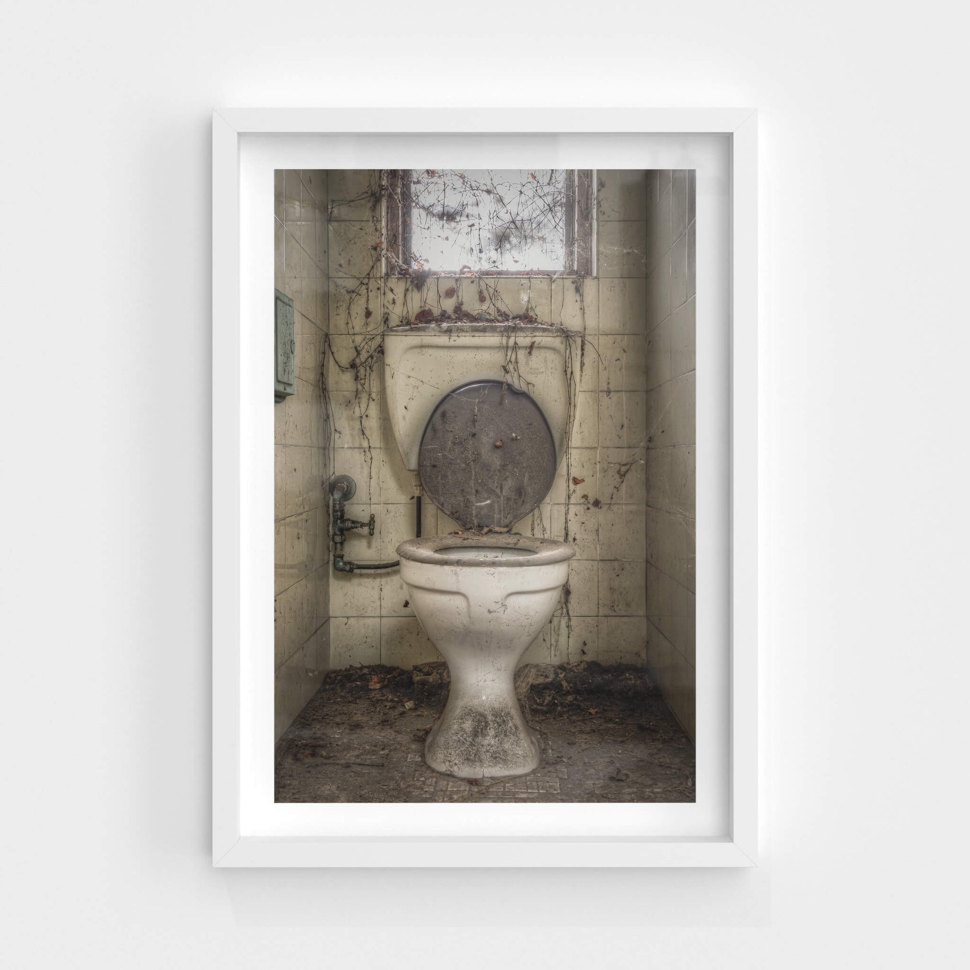 Toilet | Terminus Hotel Fine Art Print - Lost Collective Shop