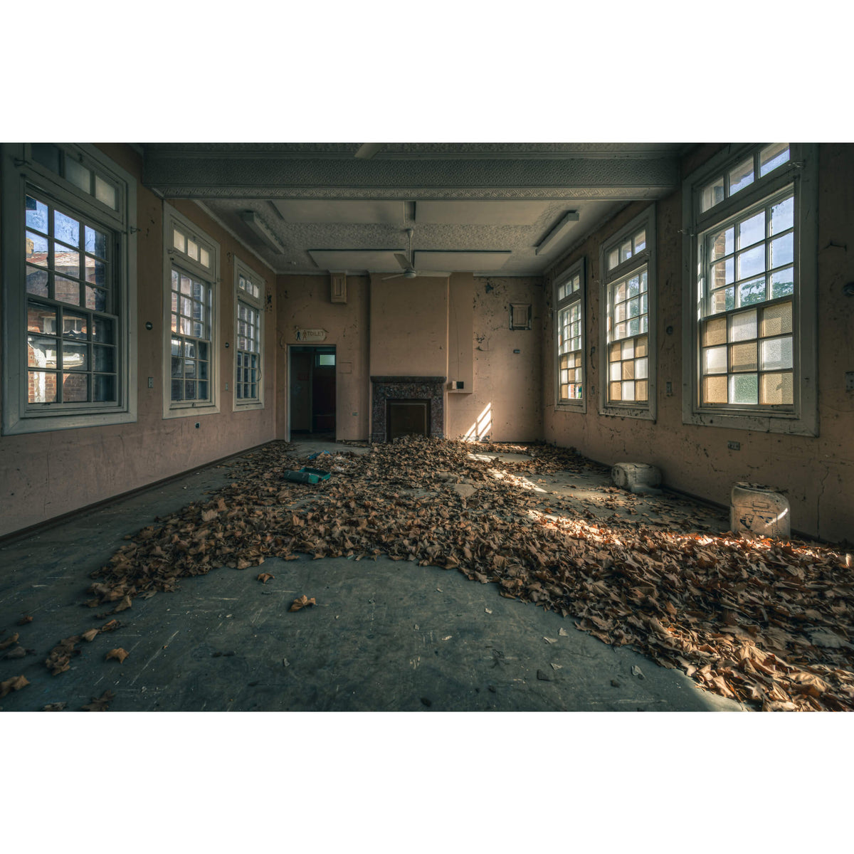 Dead Leaf Carpet | The Asylum
