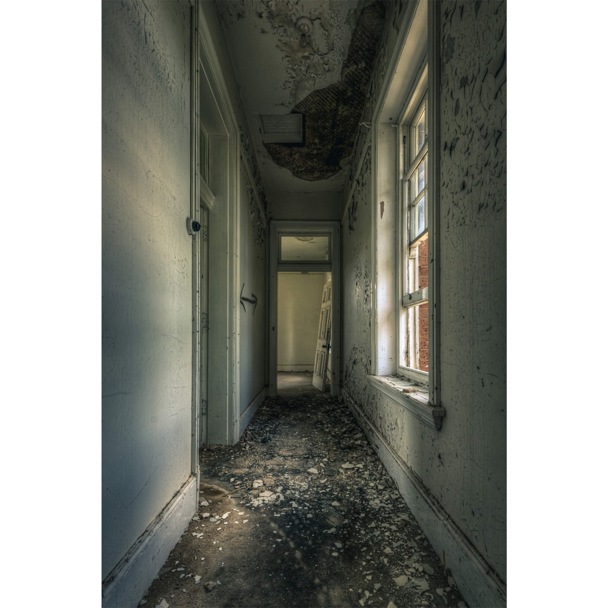 Mouldy Hall | The Asylum