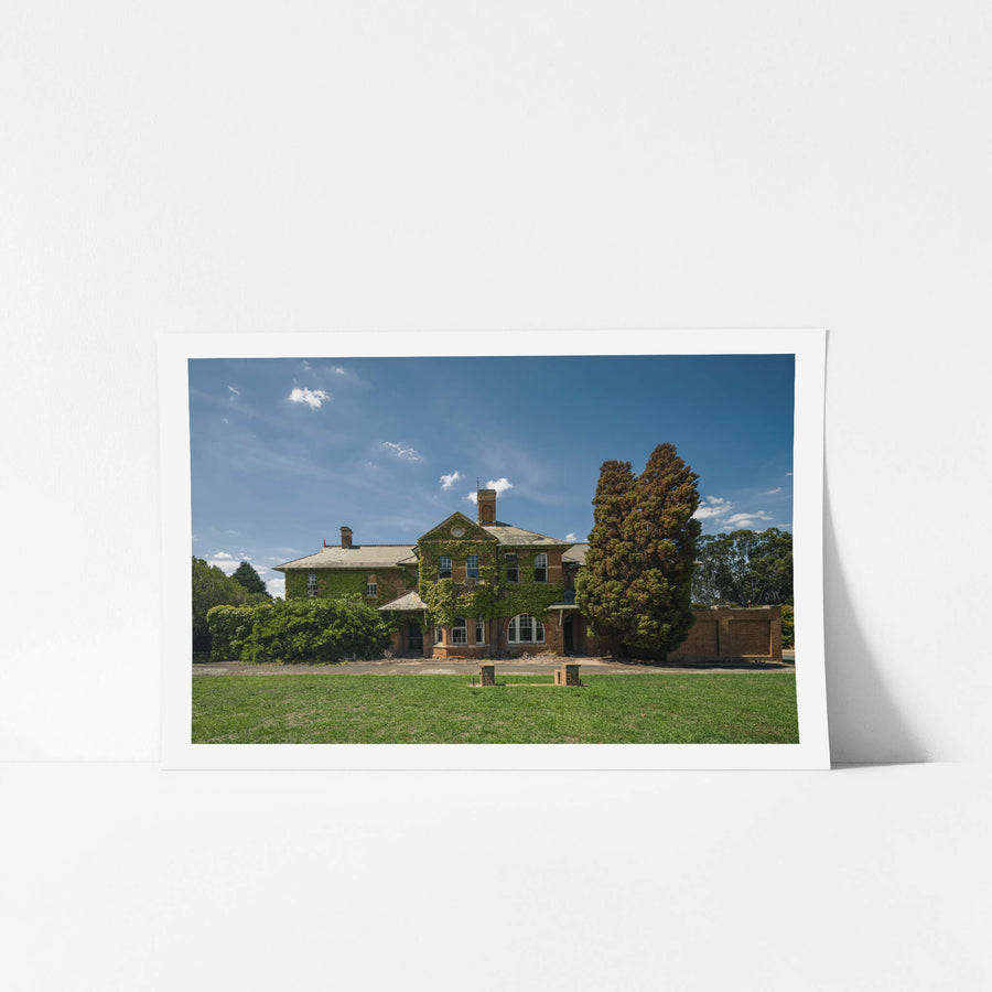 Nature Always Finds a Way at The Asylum, boston ivy consumes the eastern facade of the main administration building.