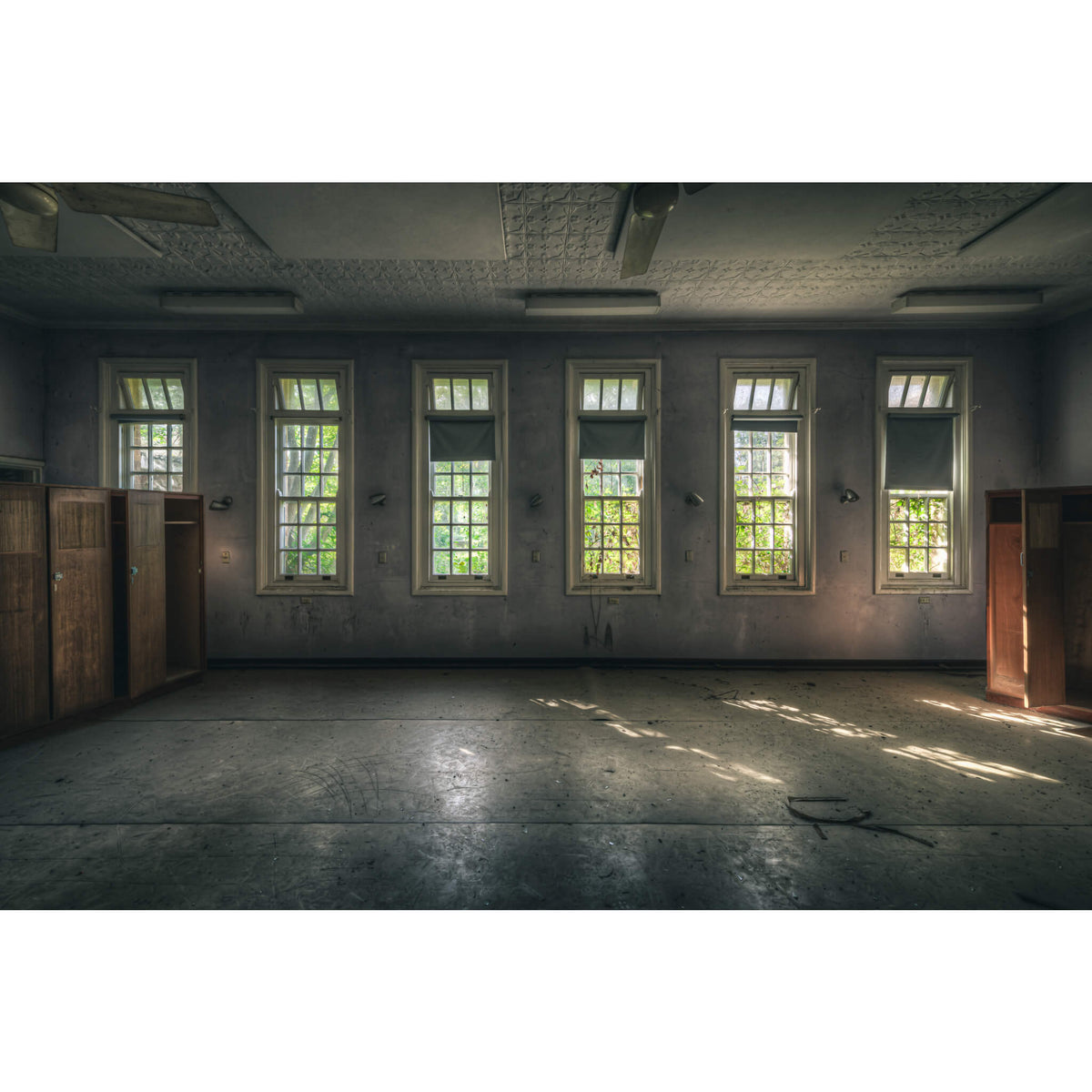 Ward Windows | The Asylum
